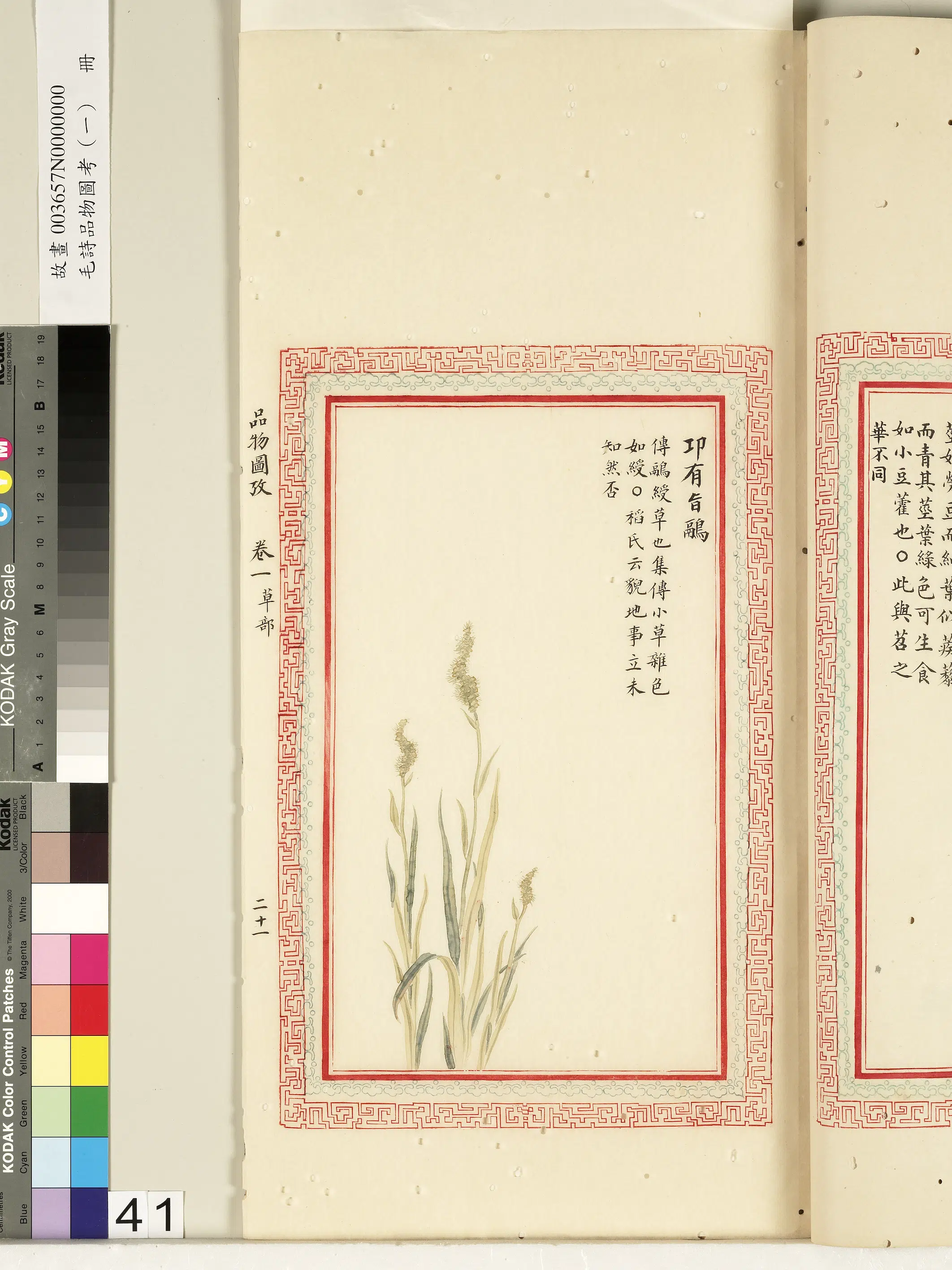 清朝【佚名】《毛诗品物图考（一）册-卭有旨鹝-2》