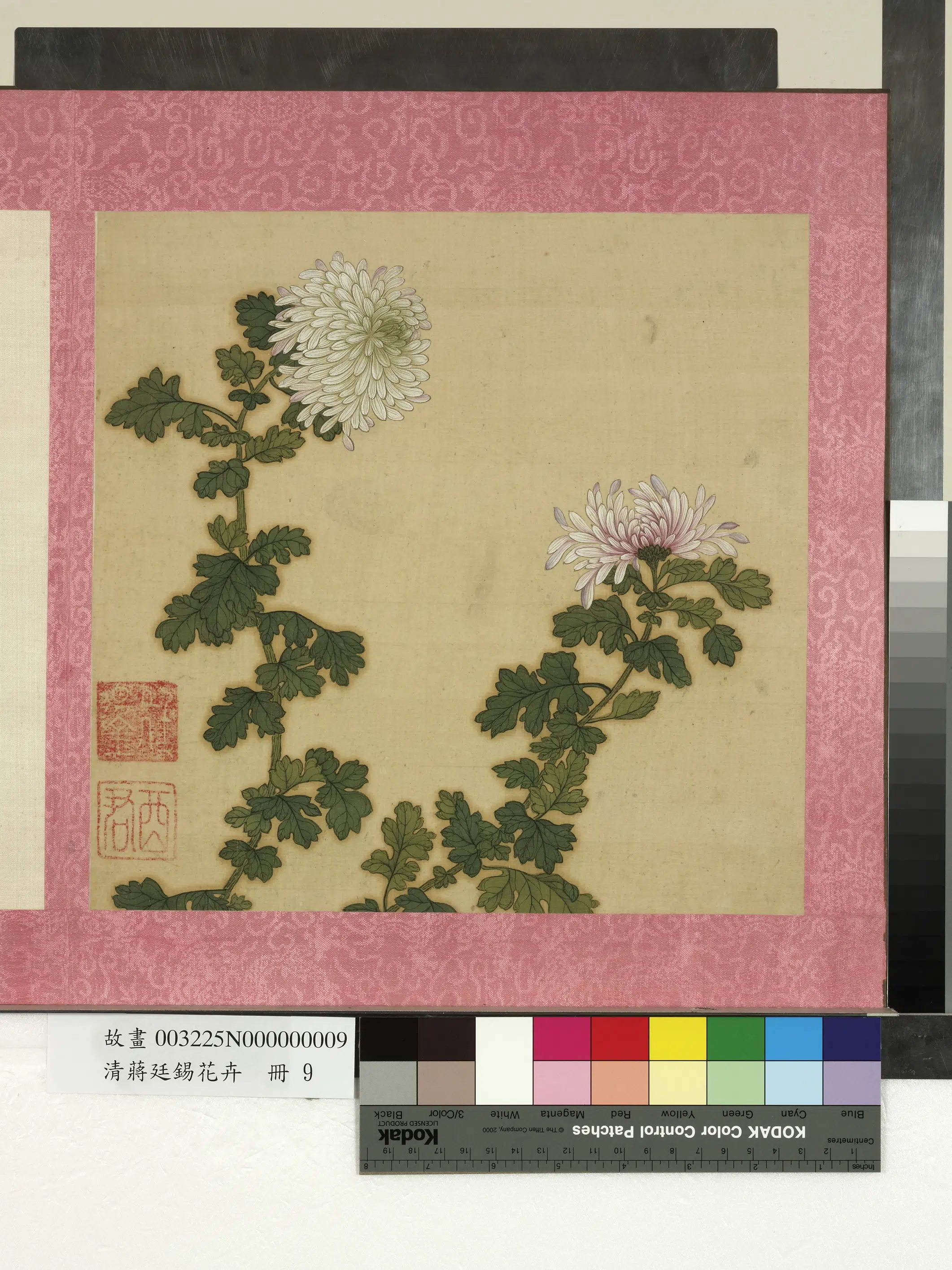 清代【蒋廷锡】《花卉册》 第8张