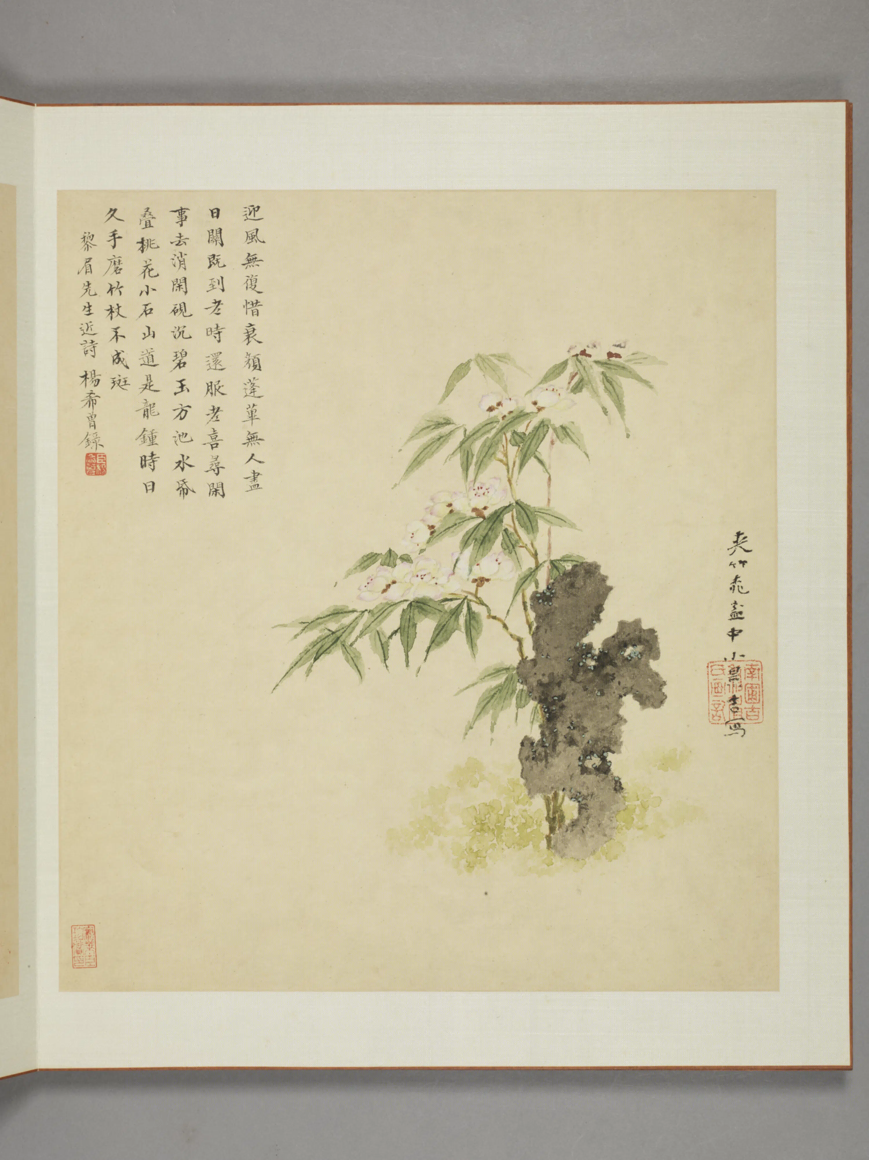 清代【邹显吉】《花卉图册》 第5张