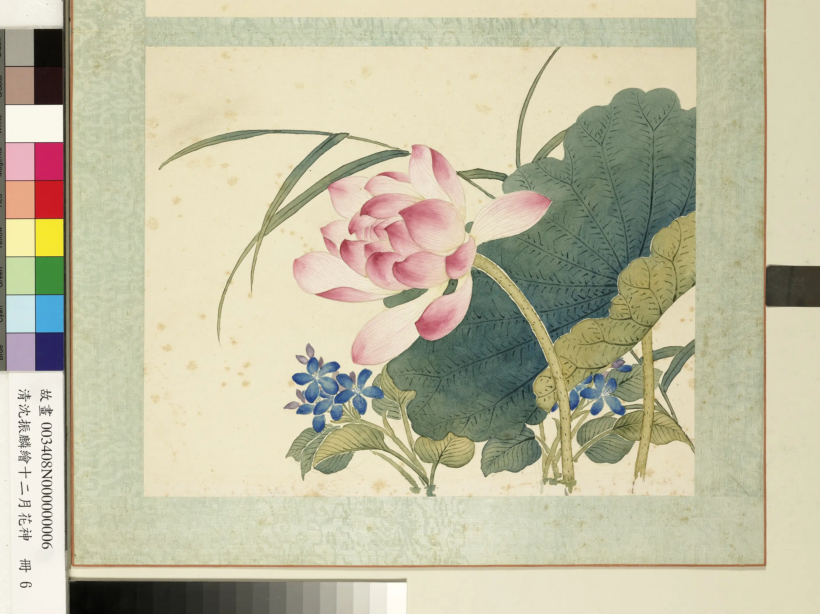 清朝【沈振麟】《绘十二月花神册_莲花》