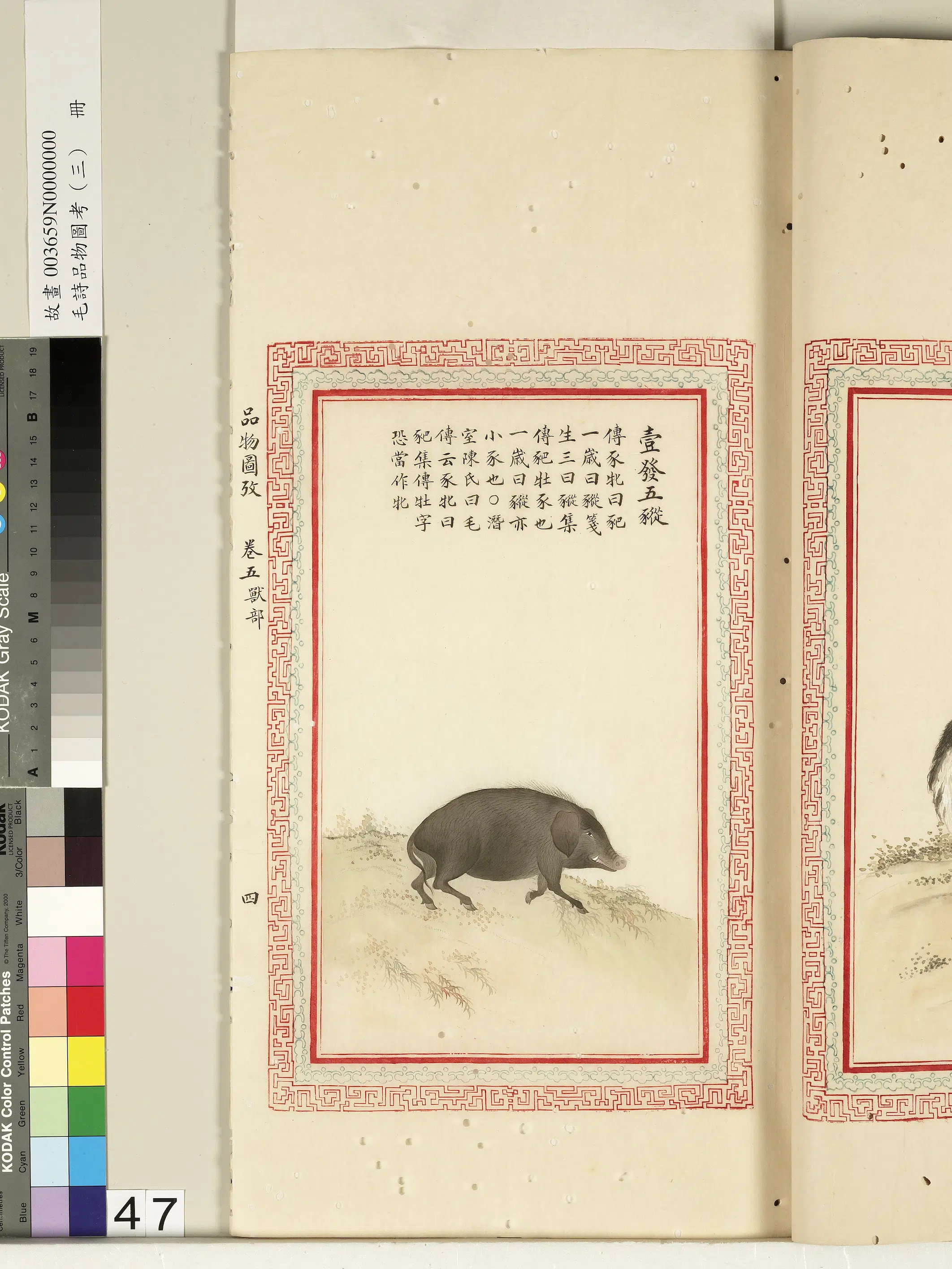 清代《毛诗品物图考(三)册-2》 第12张 清代《毛诗品物图考(三)册-2》 第12张