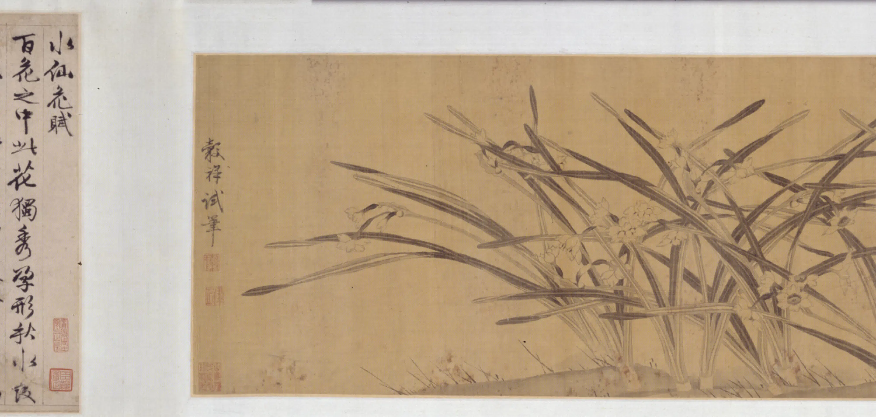 明朝【王榖祥】《王穀祥水仙花图卷》 第4张