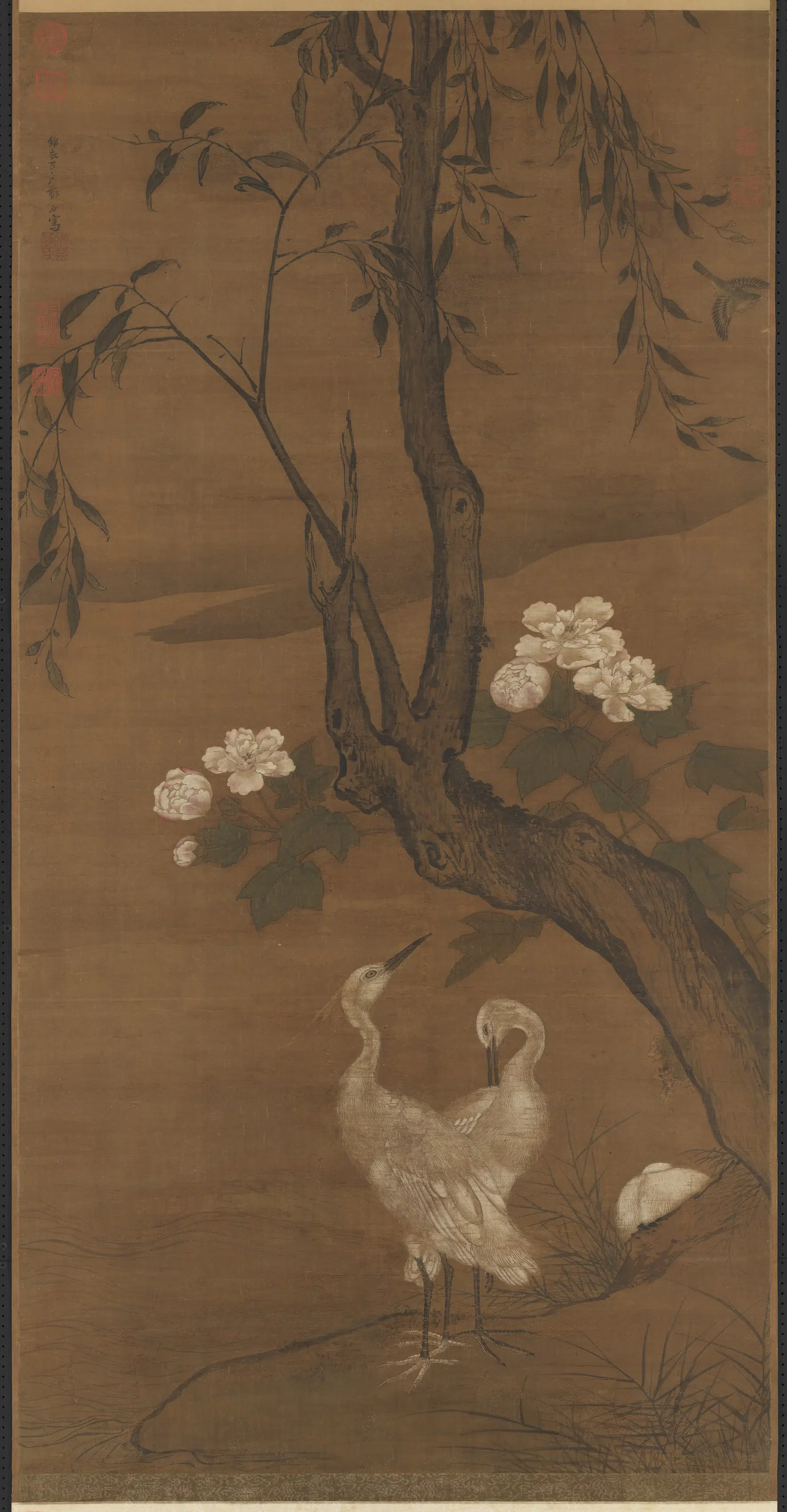 明朝【郑石】《画芙蓉白鹭图轴》