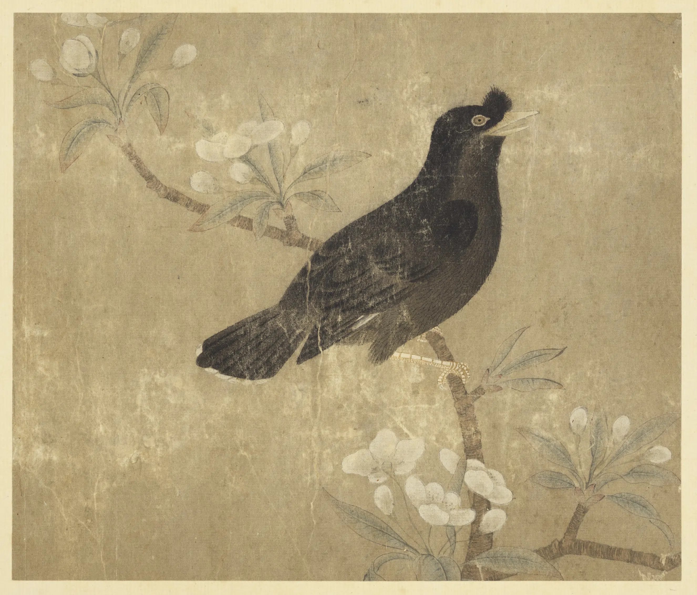 清朝【佚名】《历代画幅集册-无款梨花鸲鹆》