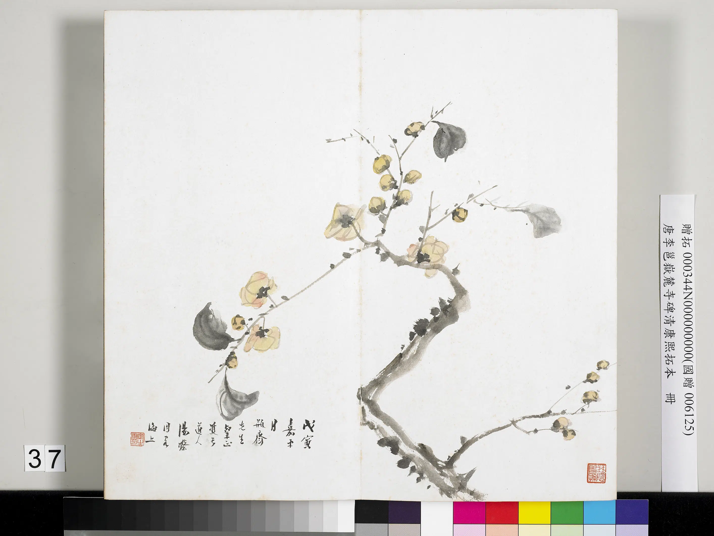 近现代【汤涤】《唐李邕岳麓寺碑康熙拓本册-画折枝花卉》 第1张 近现代【汤涤】《唐李邕岳麓寺碑康熙拓本册-画折枝花卉》 第1张