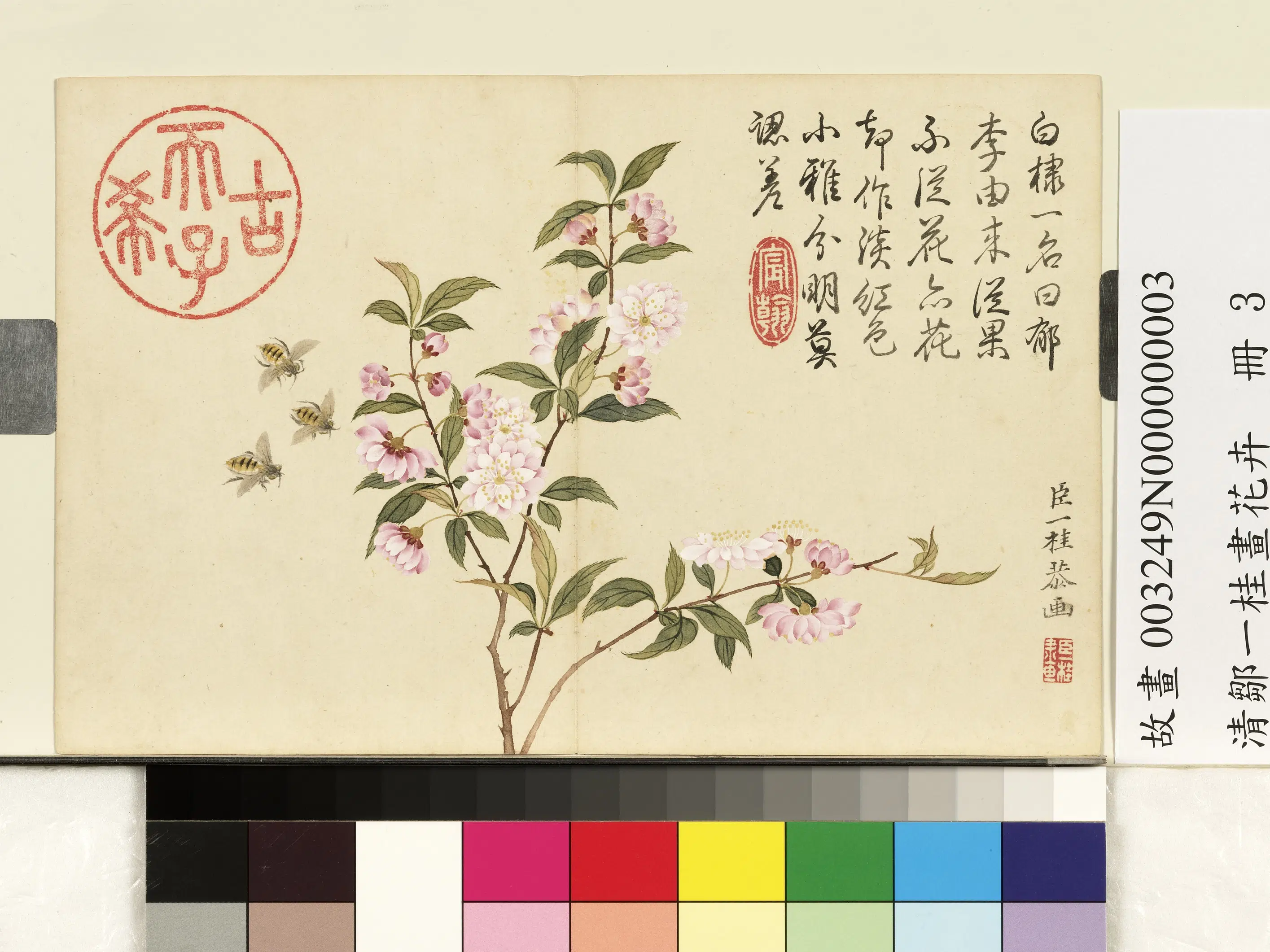 清代【邹一桂】《画花卉册-郁李》