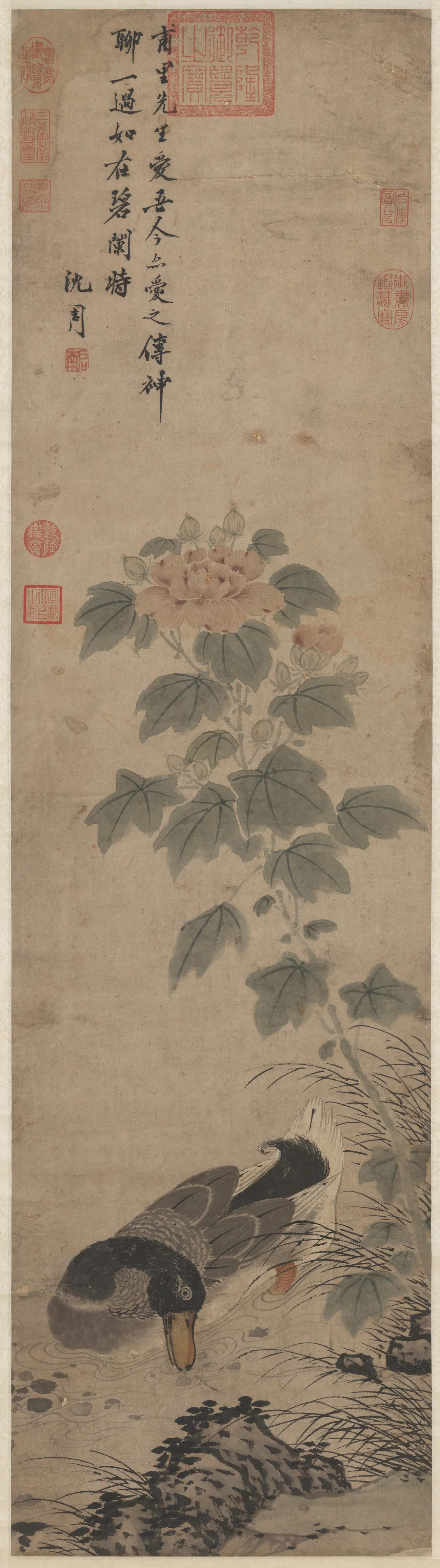 明朝【沈周】《秋塘野鹜图轴》