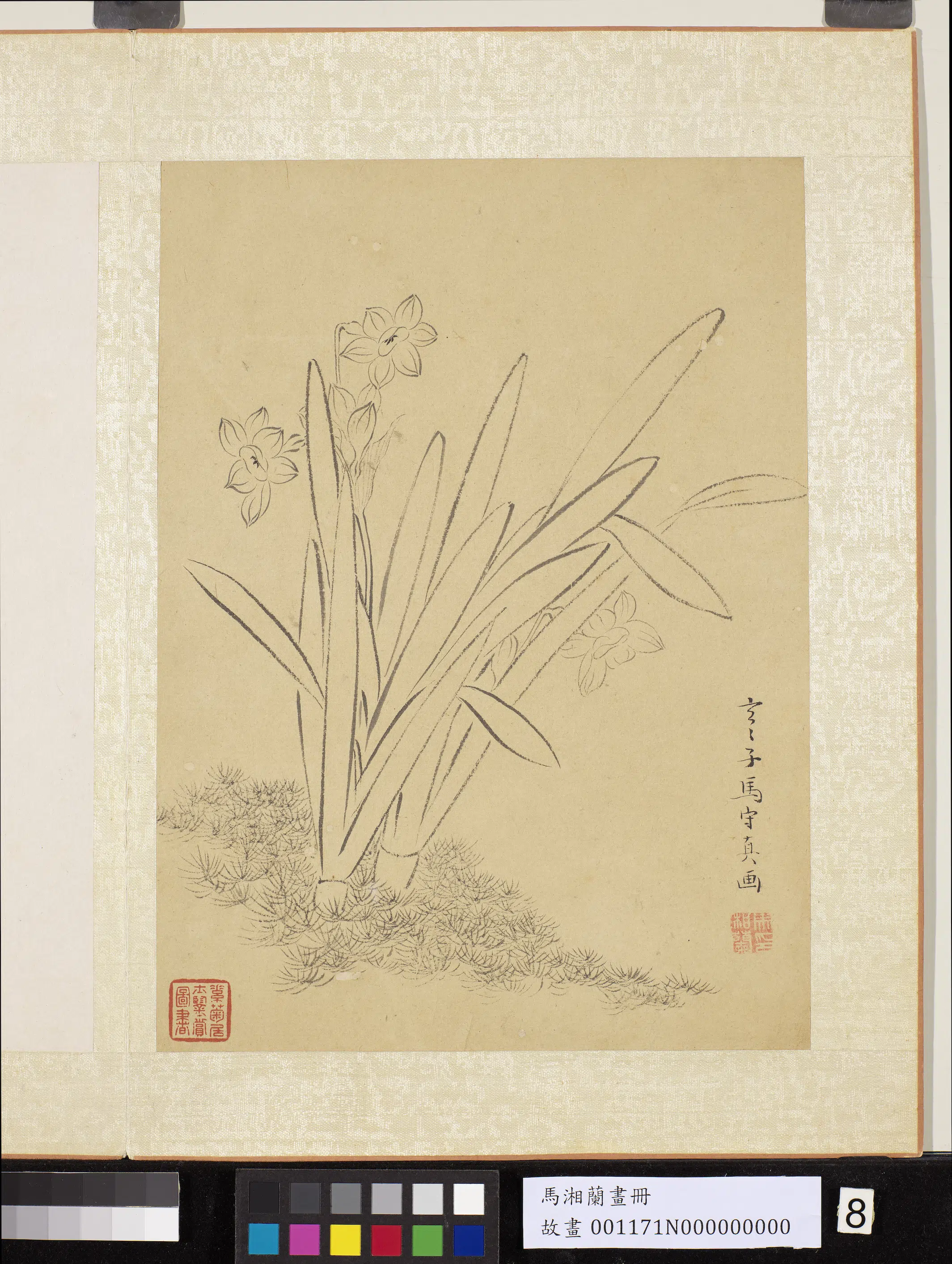 明朝【马守真马守贞(马湘兰)】《画册-白描水仙》 第1张 明朝【马守真马守贞(马湘兰)】《画册-白描水仙》 第1张