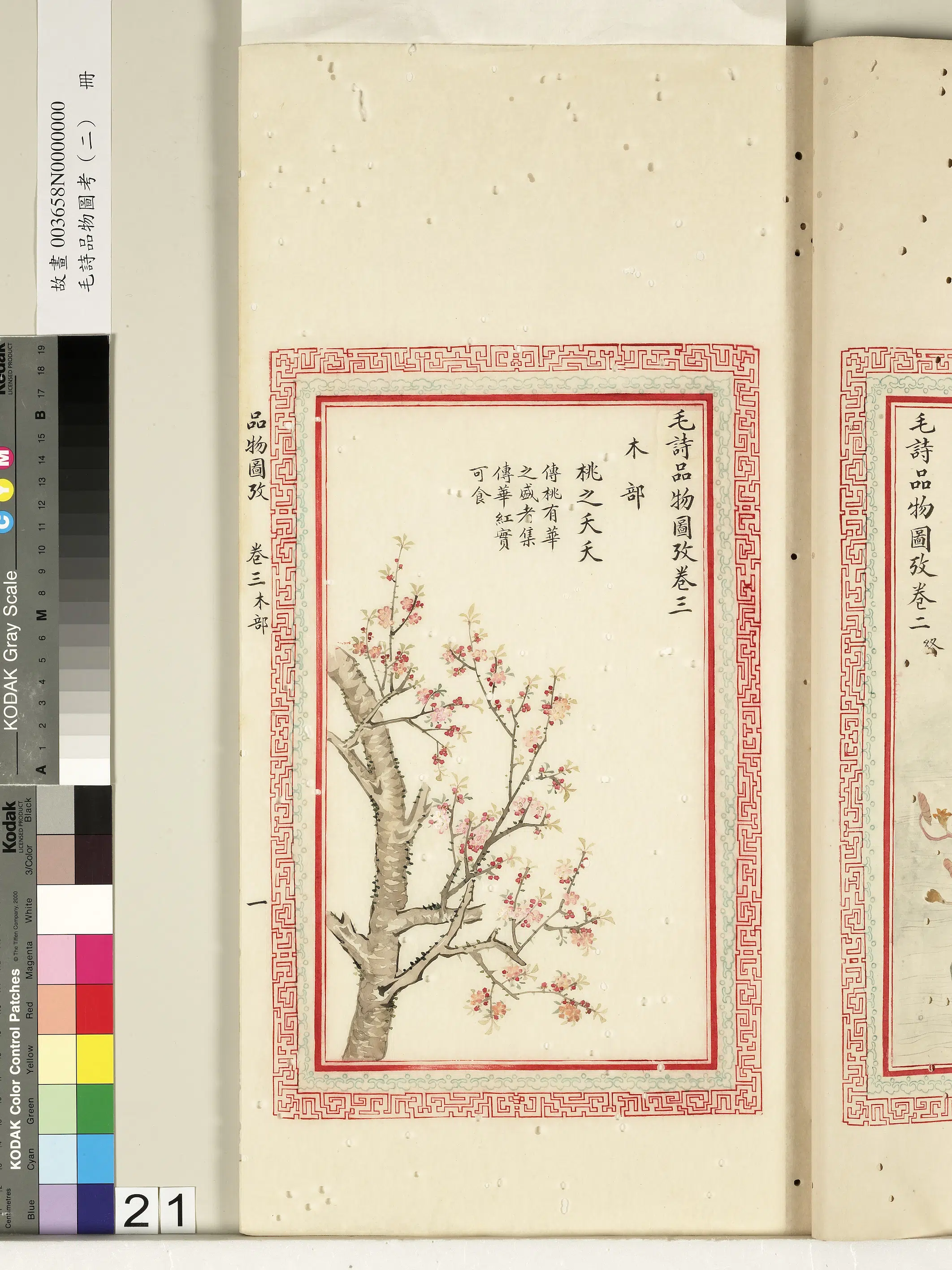 清代《毛诗品物图考（二）册-2》 第30张