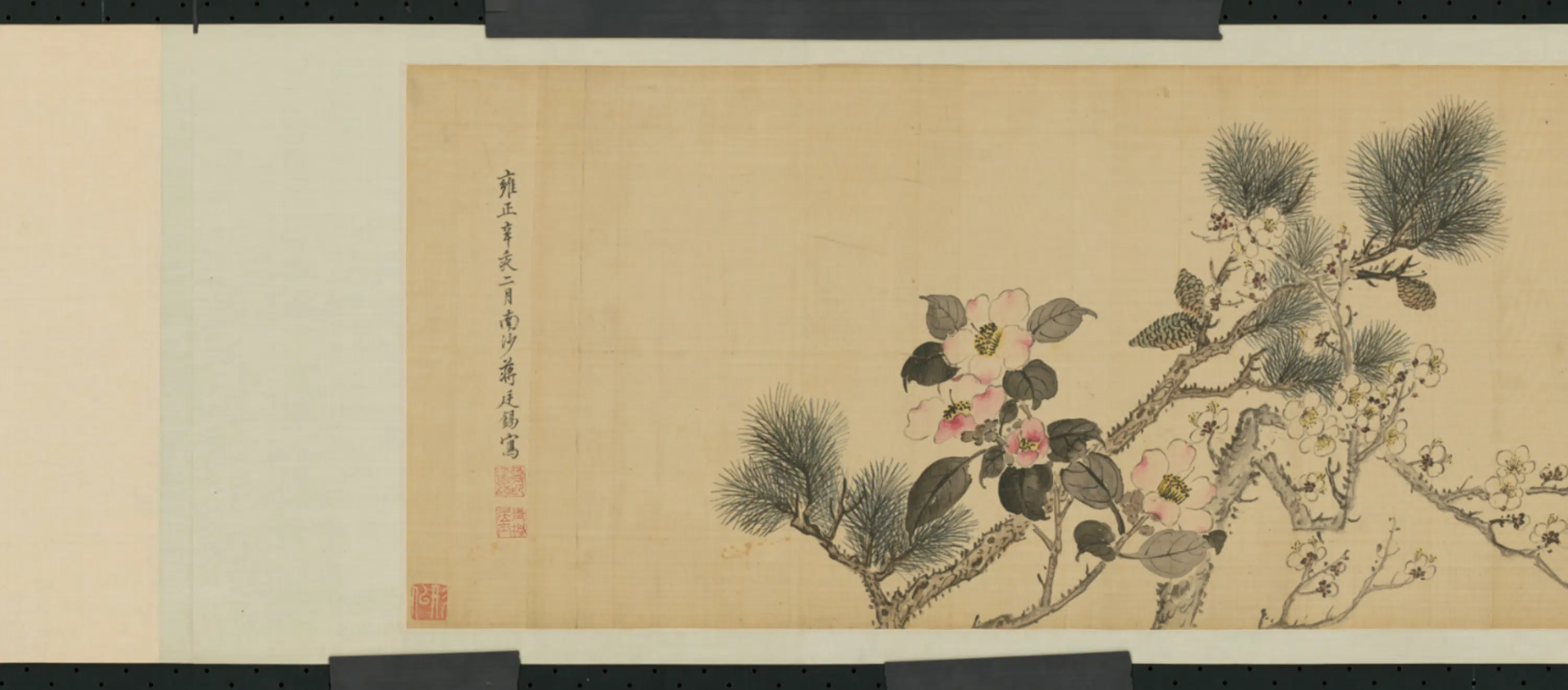 清代【蒋廷锡】《花卉图卷》 第2张