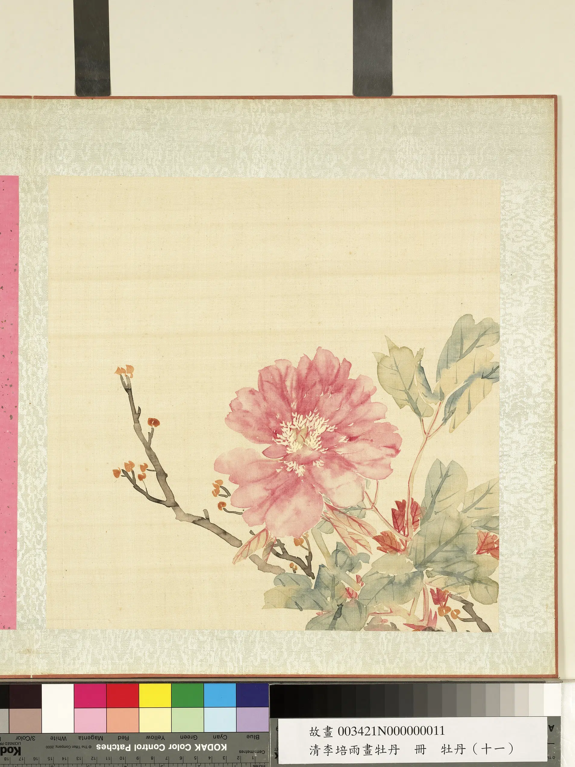 清代【李培雨】《画牡丹册-牡丹(十一)》 第1张 清代【李培雨】《画牡丹册-牡丹(十一)》 第1张
