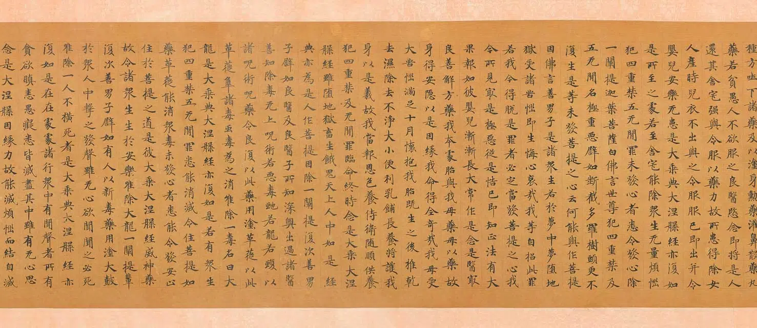 唐朝【佚名】《楷书大般涅槃经第九卷》 第10张 唐朝【佚名】《楷书大般涅槃经第九卷》 第10张