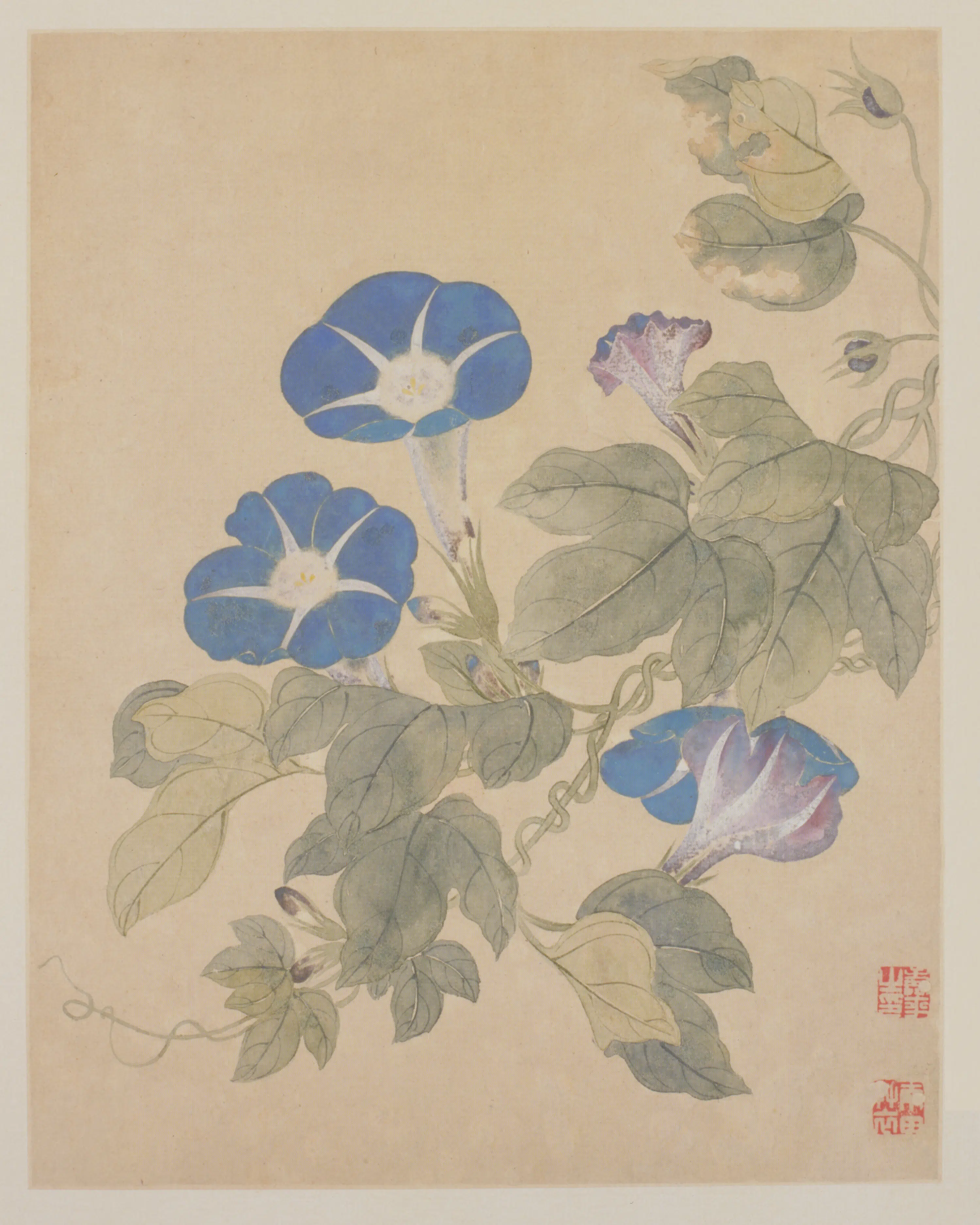 清代【恽寿平】《花鸟册(12开)》 第3张 清代【恽寿平】《花鸟册(12开)》 第3张