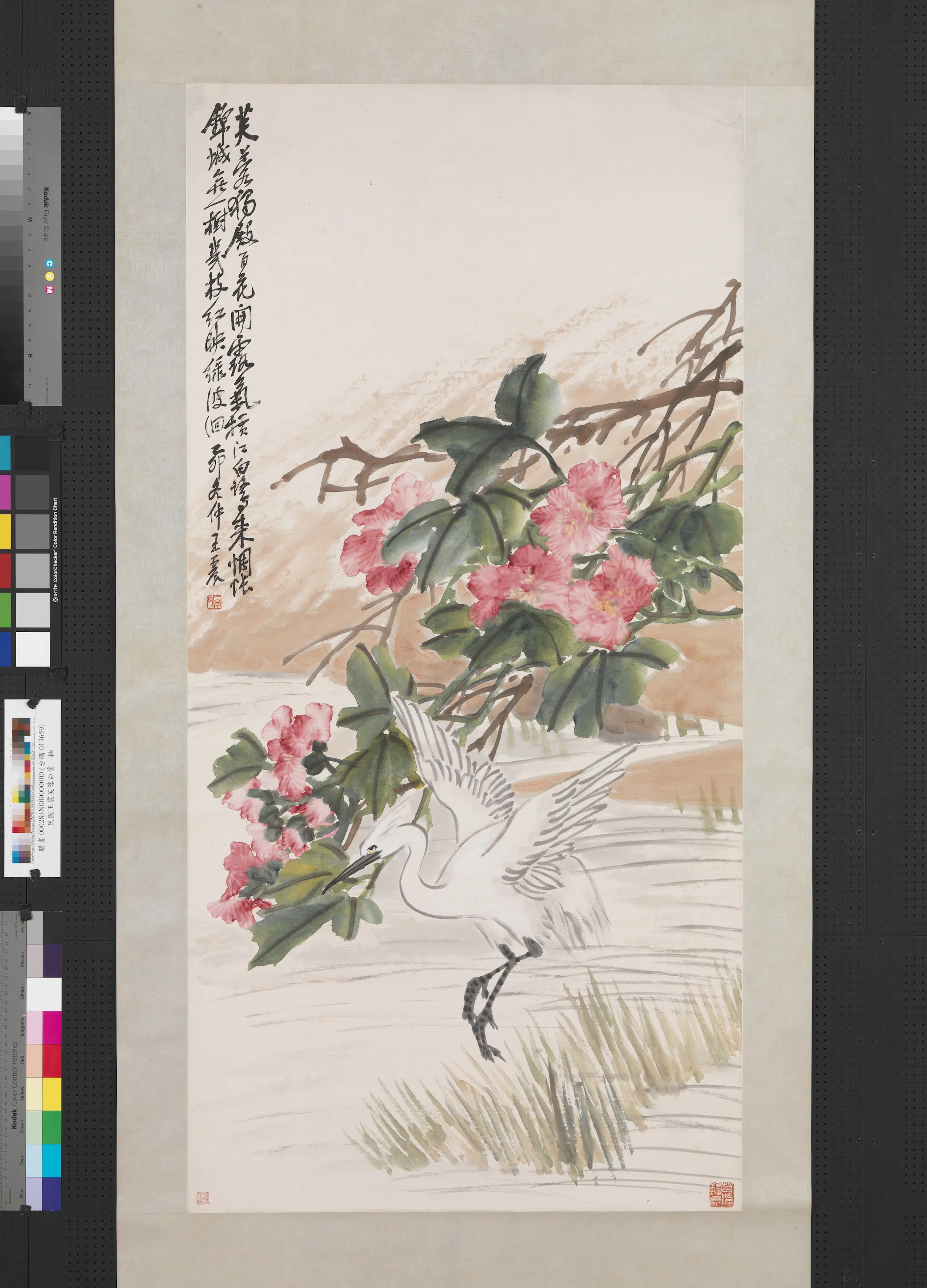 清代【王震】《芙蓉白鹭图轴》