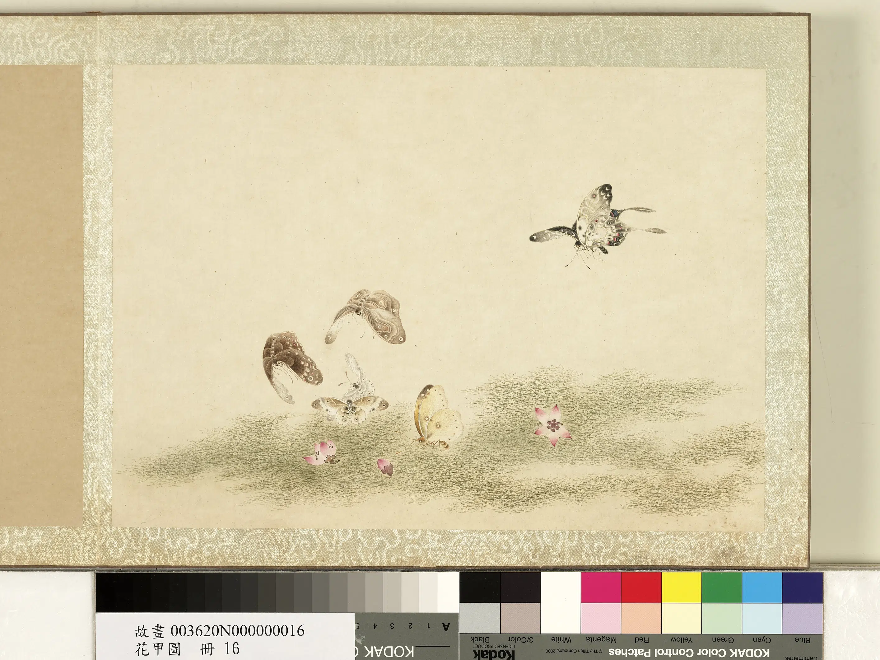 《花甲图册》 第16张 《花甲图册》 第16张