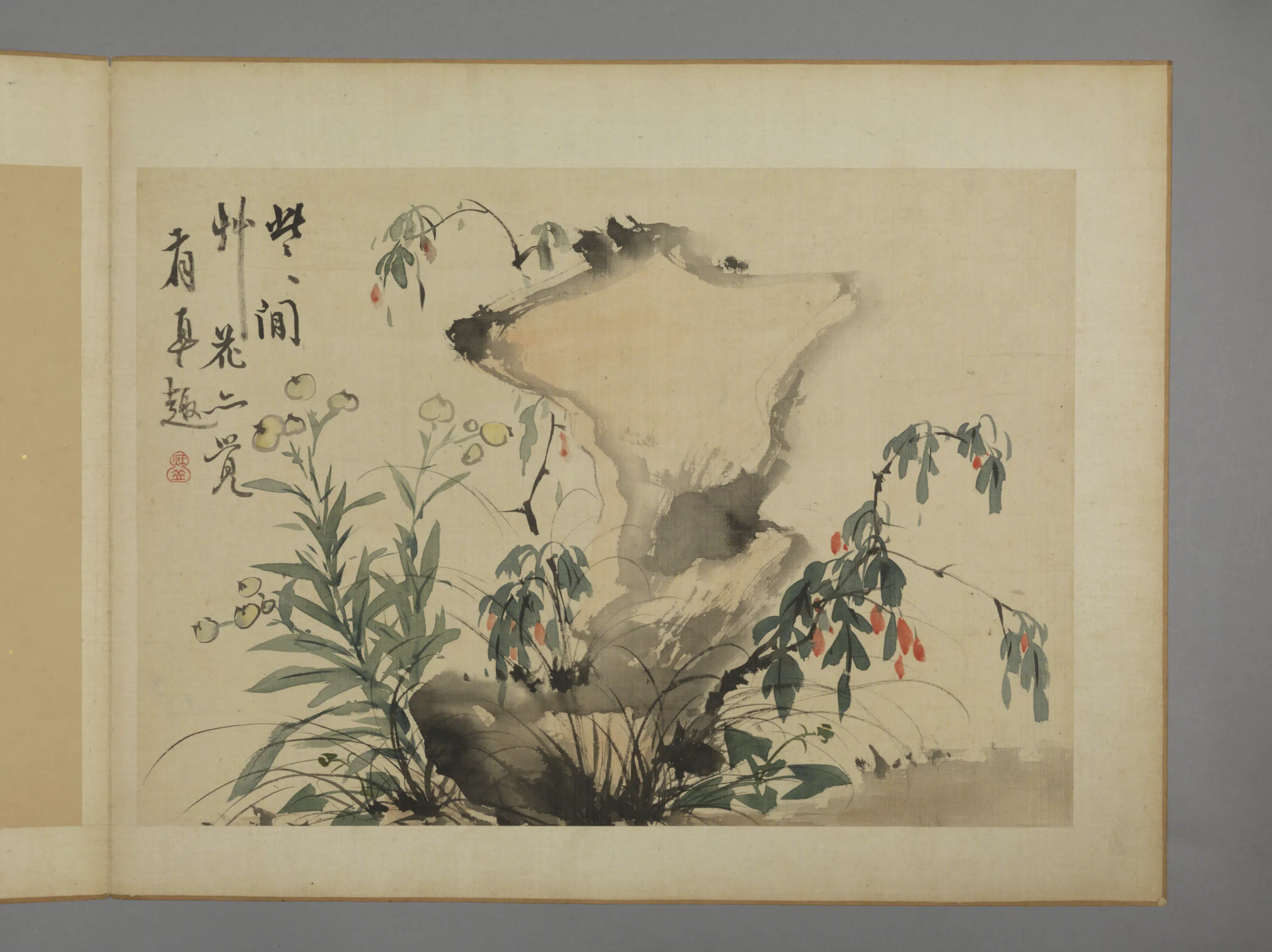 清代【华喦】《花卉图册（11开）》 第5张