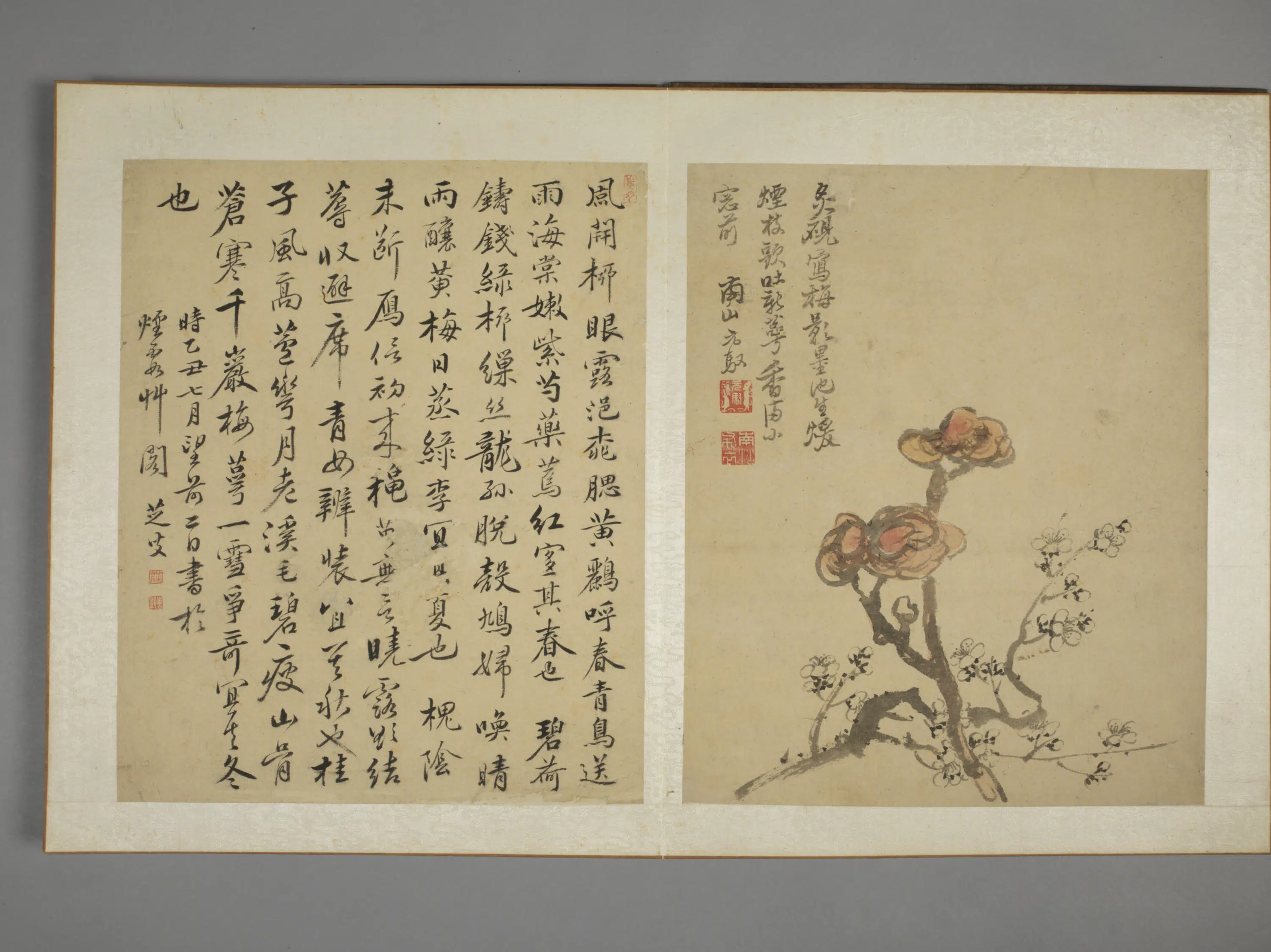 清代【马元驭】《花鸟图册》 第2张