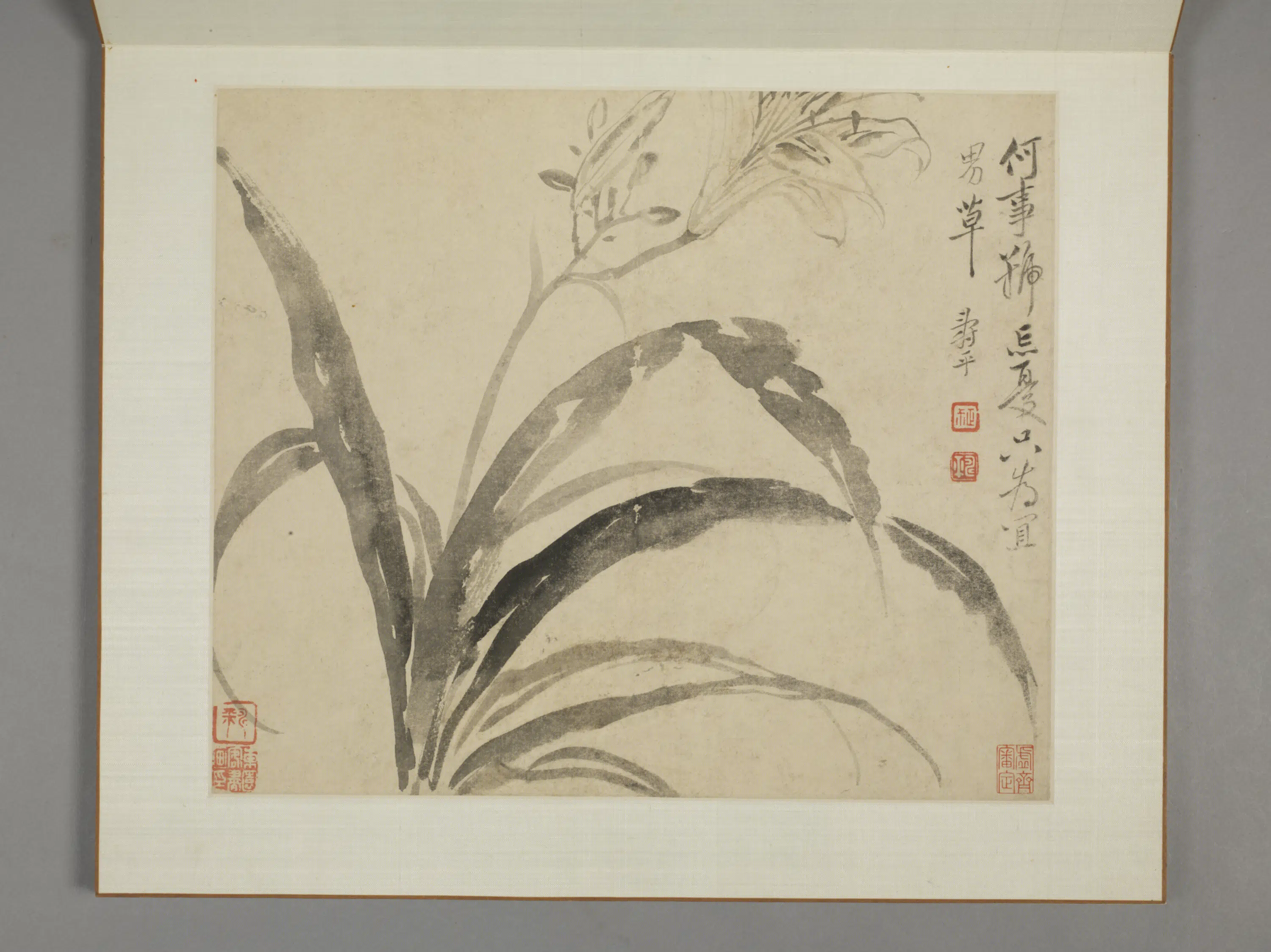清代【恽寿平】《山水花卉册（8开）》 第6张