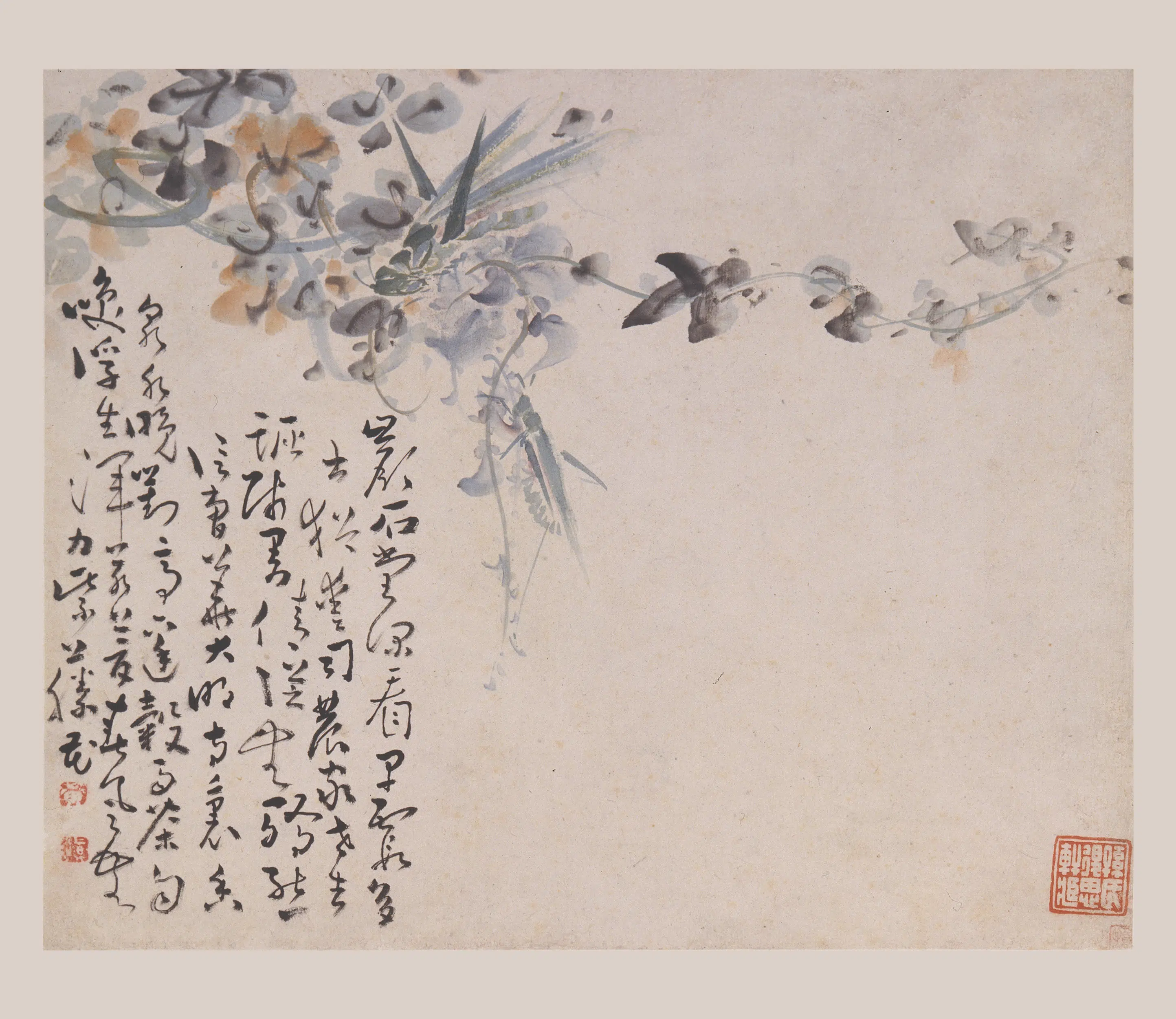 清代【黄慎】《花鸟草虫图册》 第1张