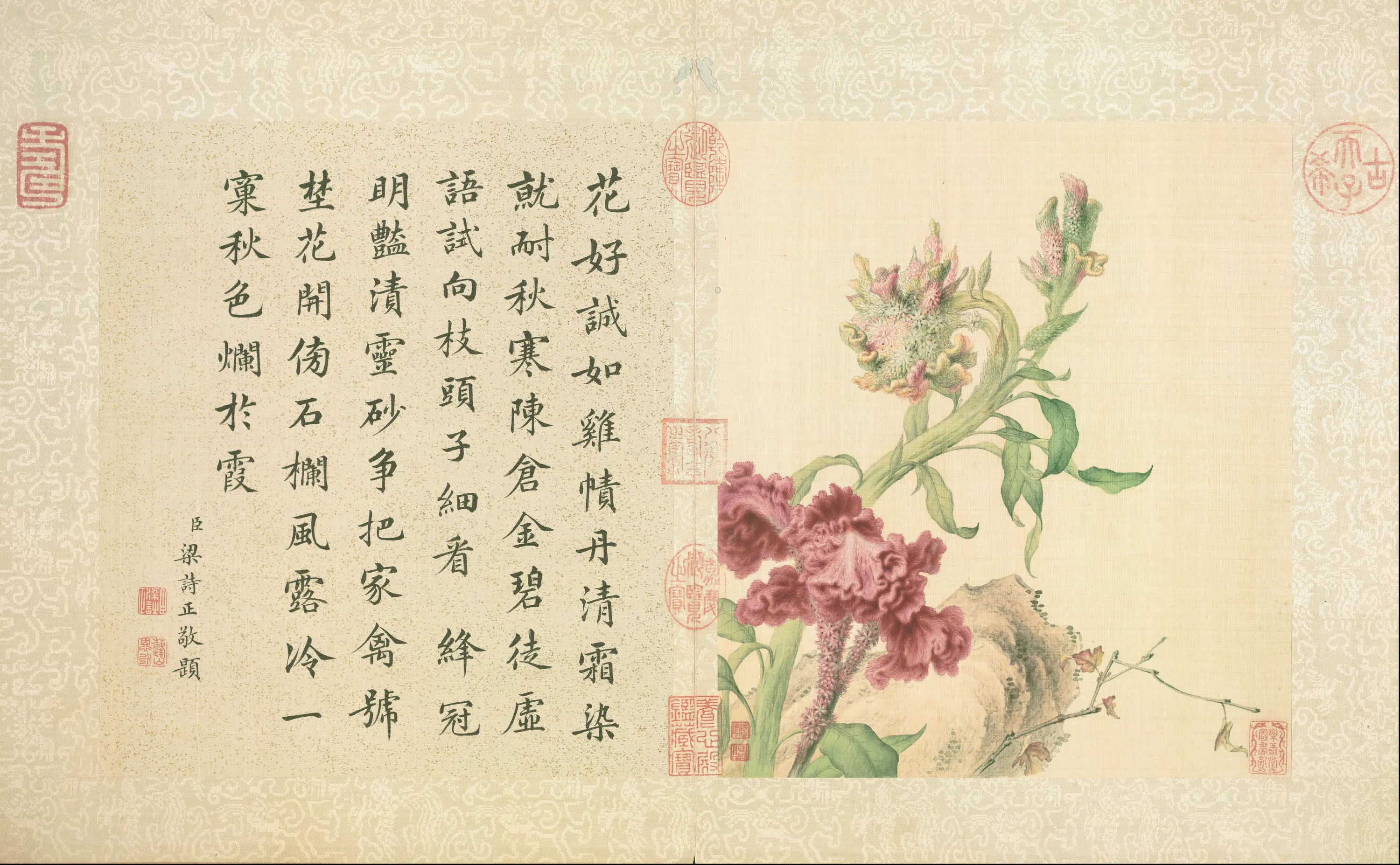 清代【郎世宁】《花鸟册（9开）》 第8张