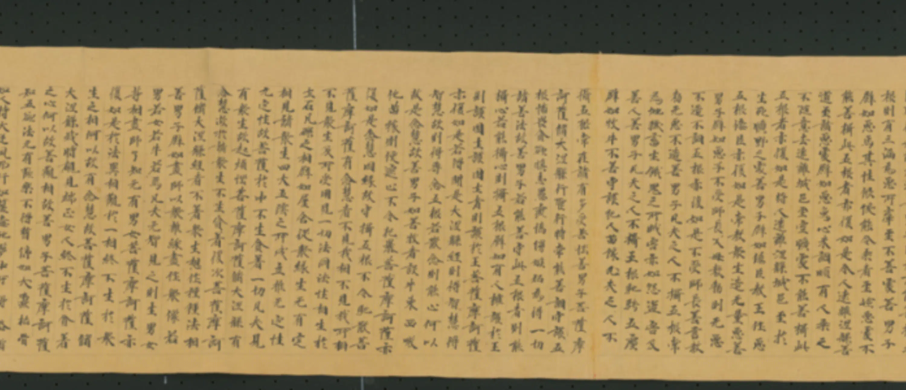 唐朝《无款行书写大湼槃经德王菩萨品二十二卷》 第8张
