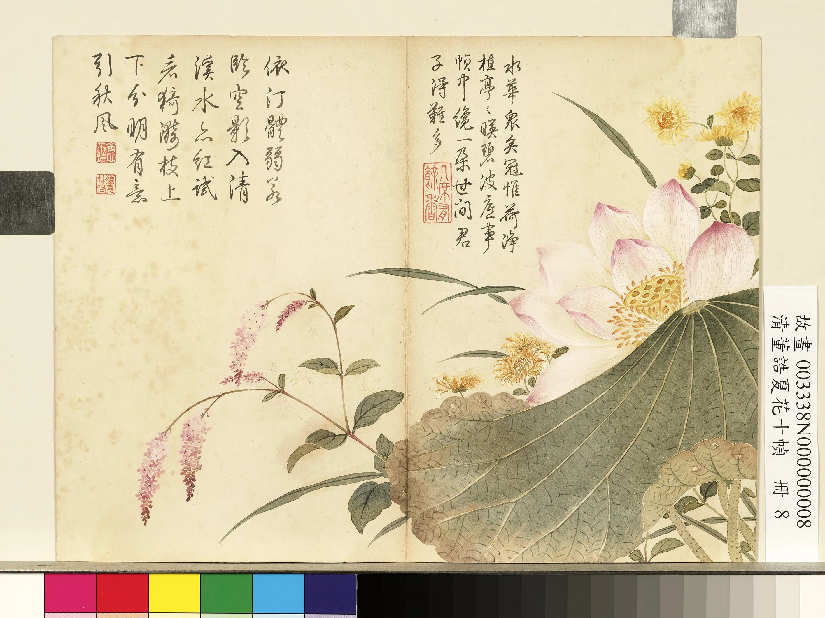 清代【董诰】《夏花十帧册-荷花红蓼》 第1张