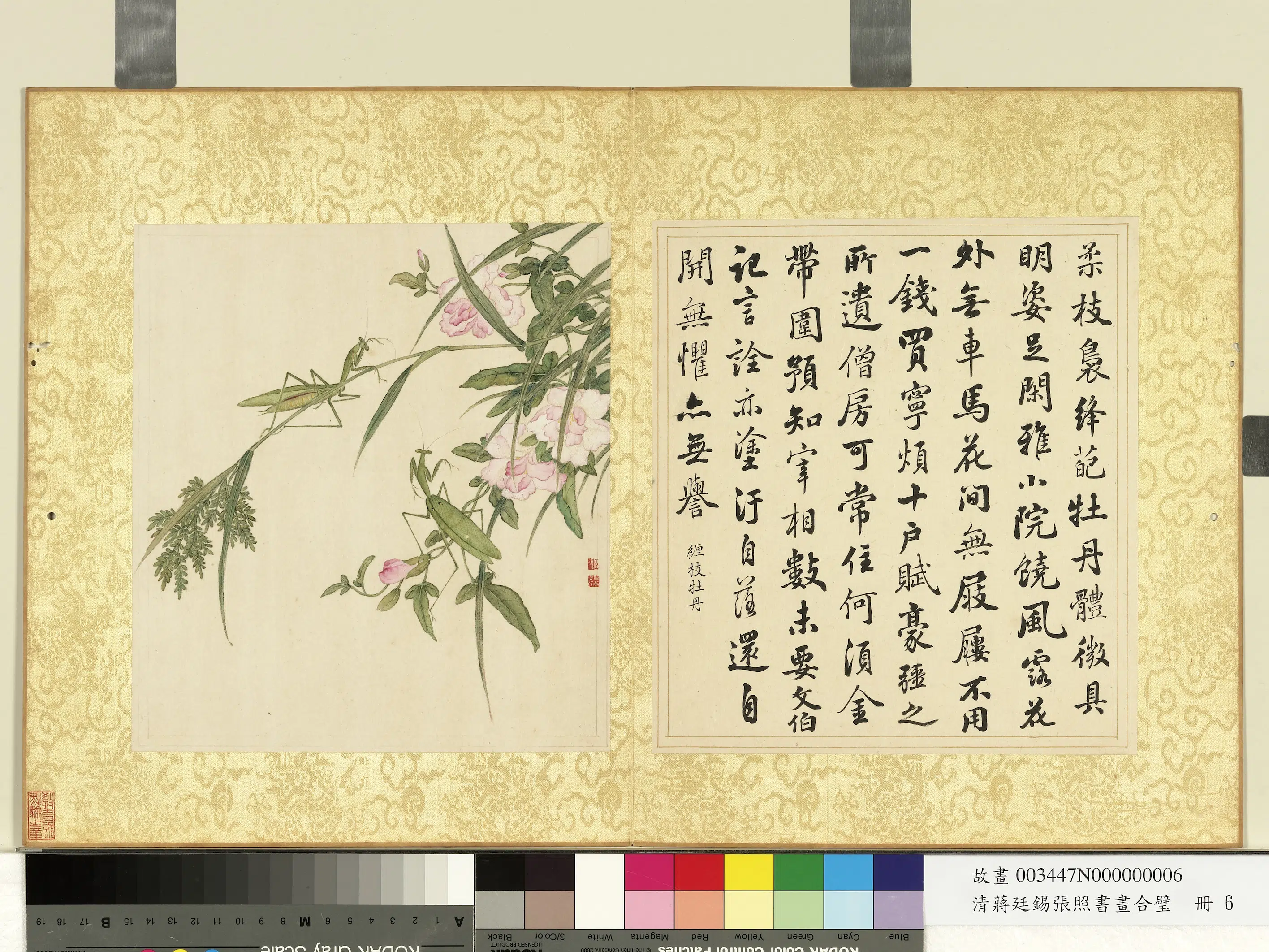 清代【张照蒋廷锡】《蒋廷锡张照书画合璧册-缠枝牡丹》