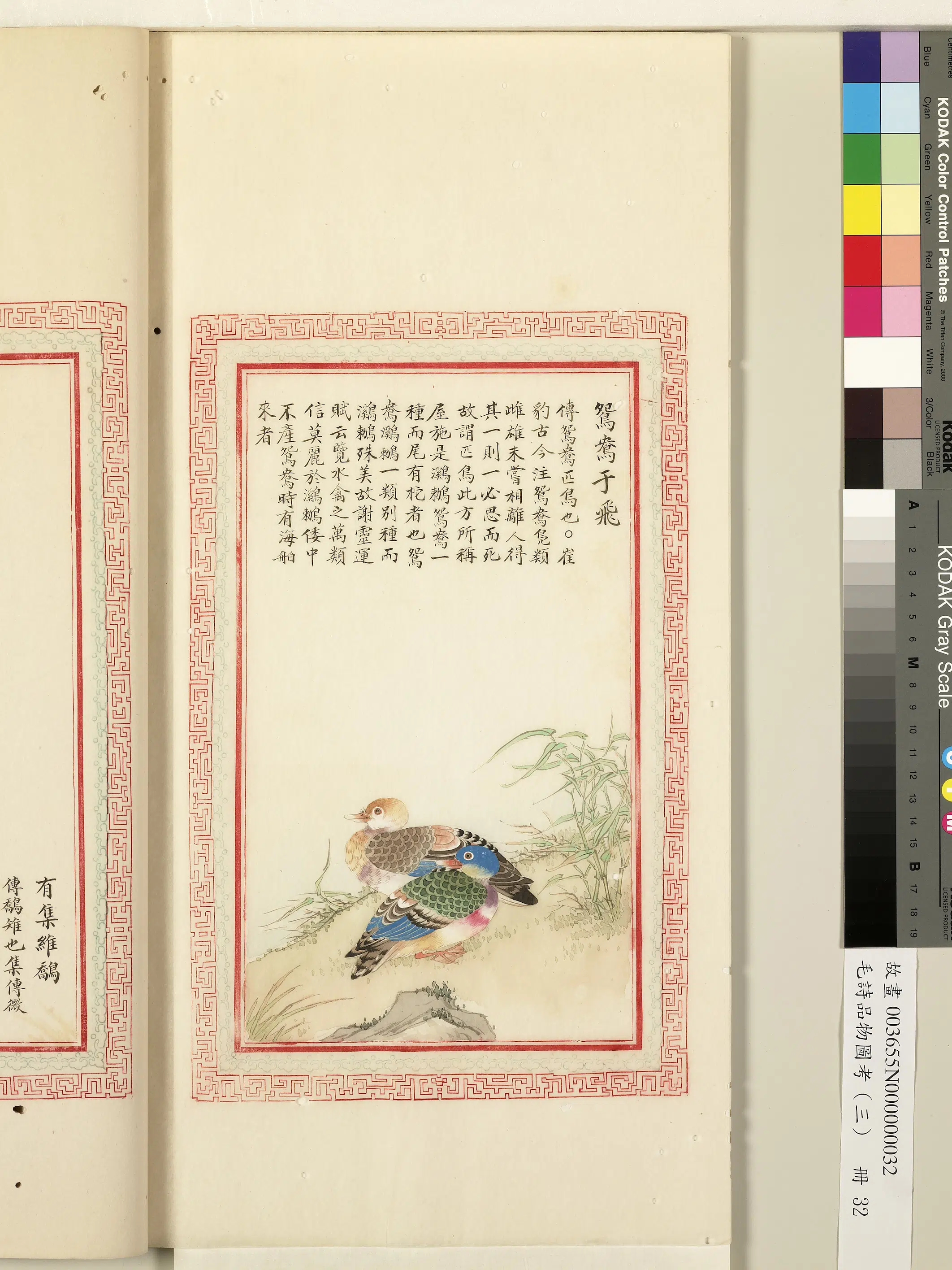 清朝【佚名】《毛诗品物图考（三）册-鸳鸯于飞-1》