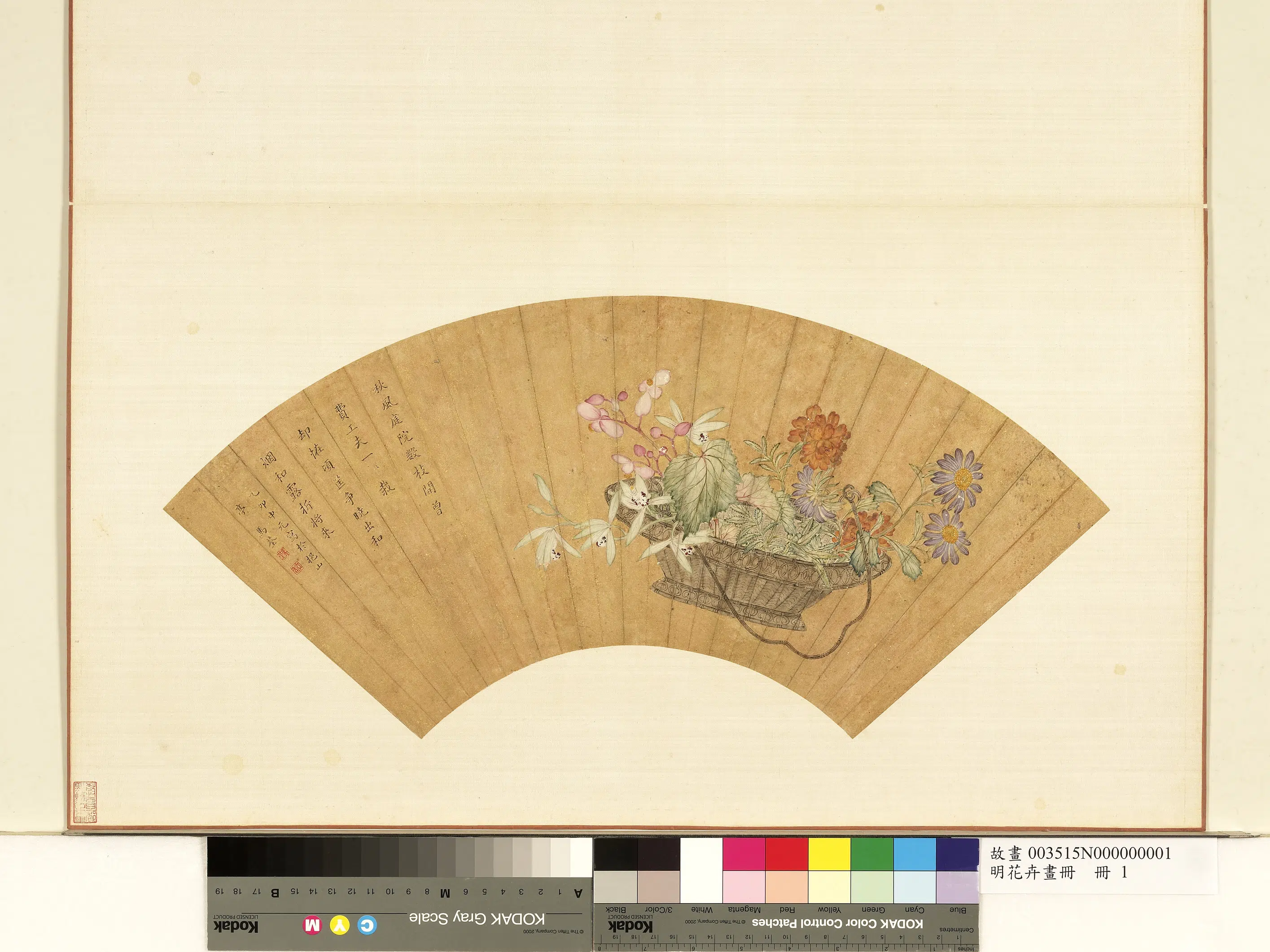 《花卉画册-2》 第12张