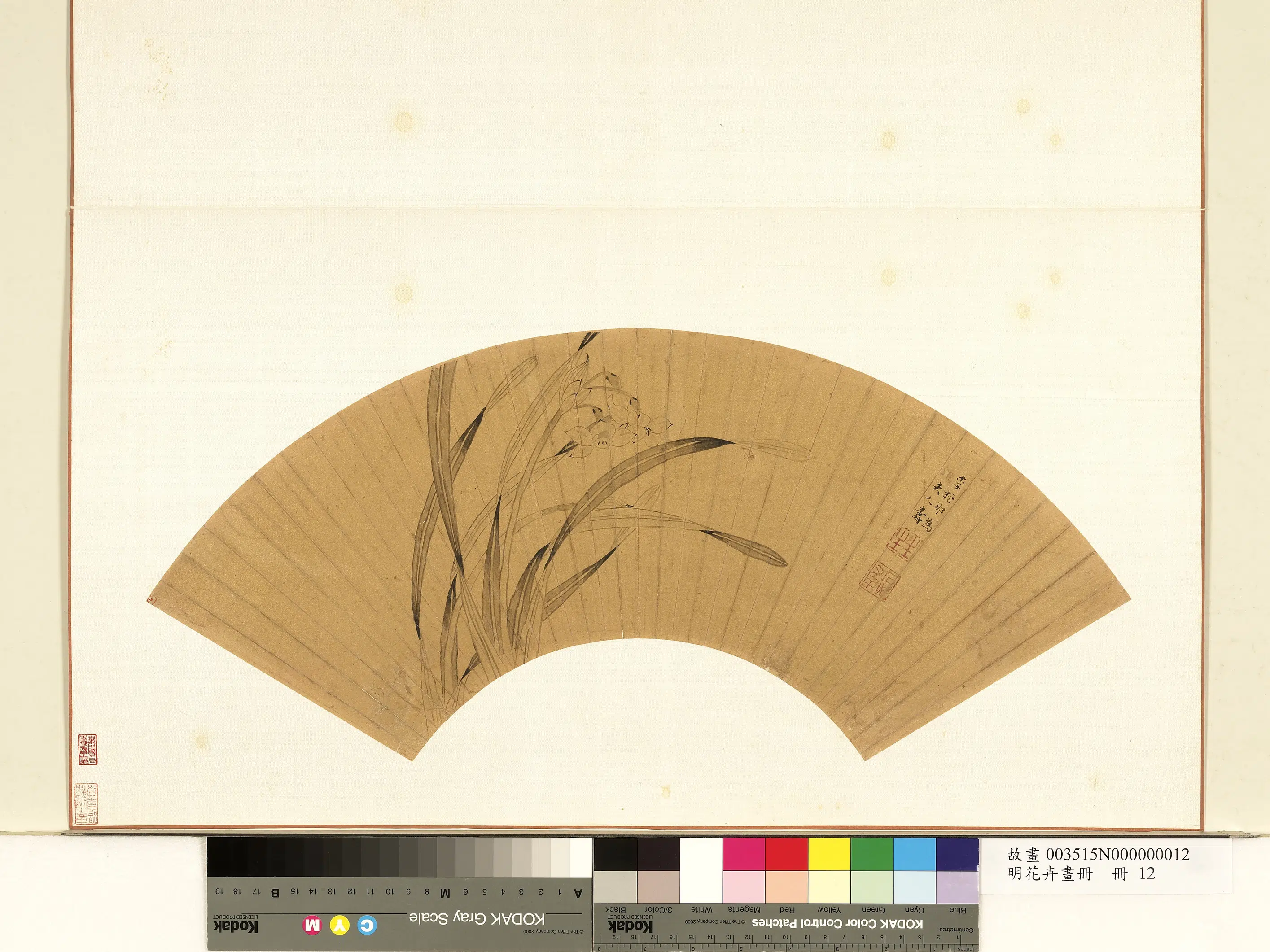 《花卉画册-2》 第2张