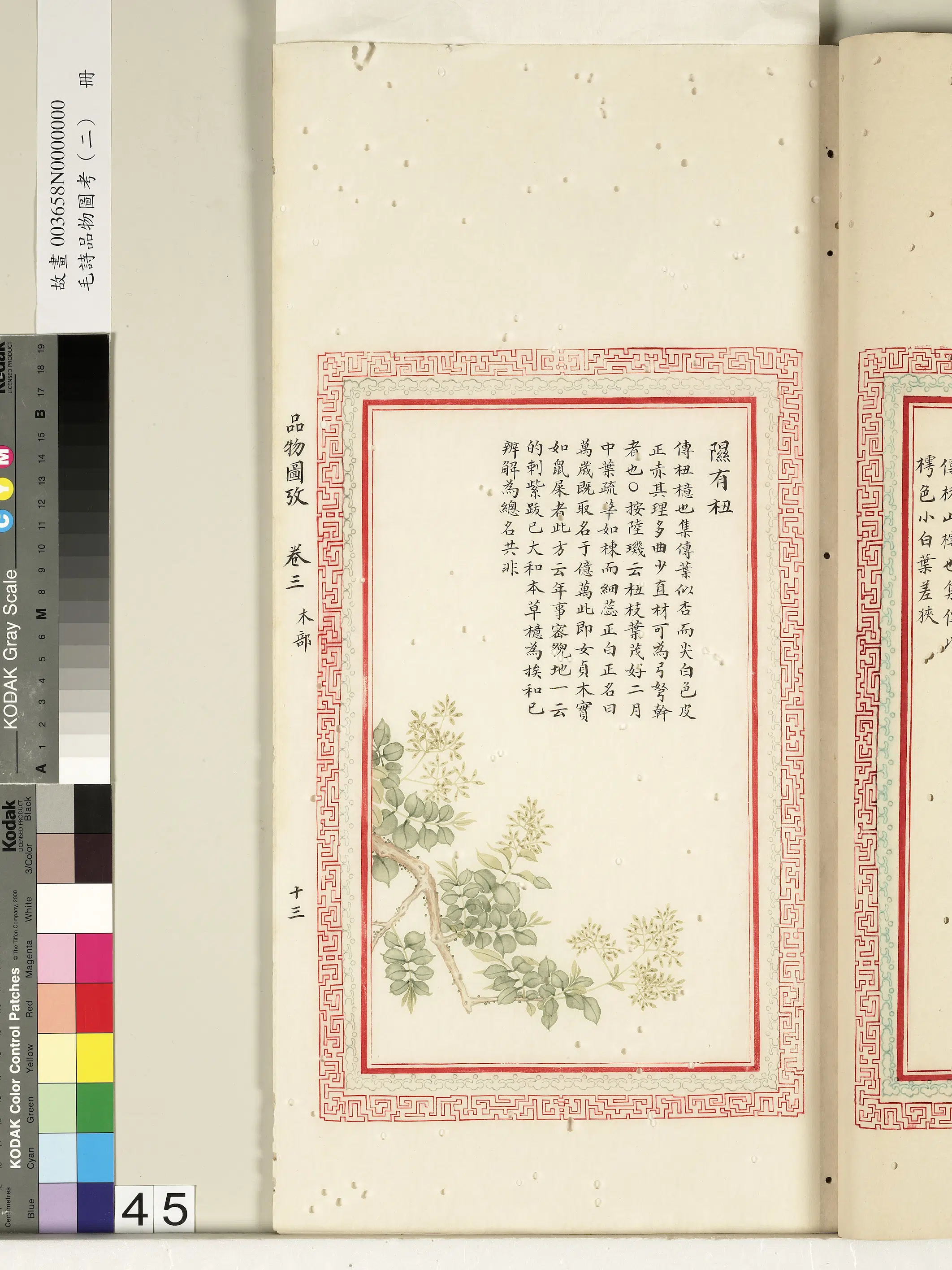 清代《毛诗品物图考（二）册-2》 第59张