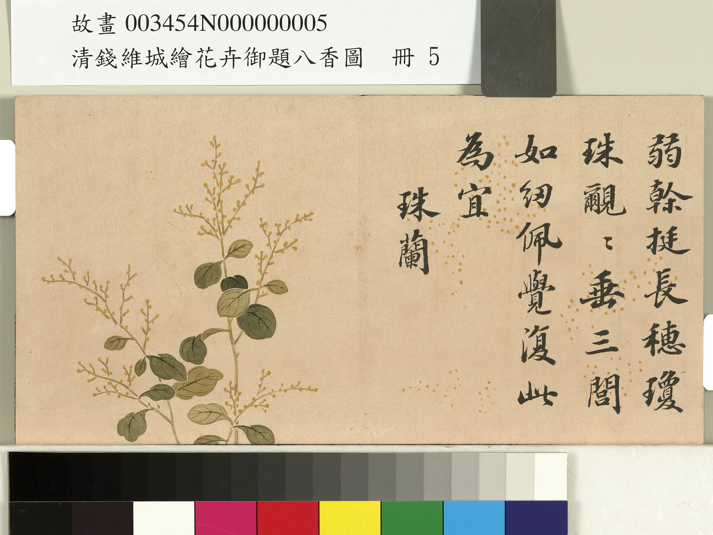 清代【钱维城】《绘花卉御题八香图册-珠兰》