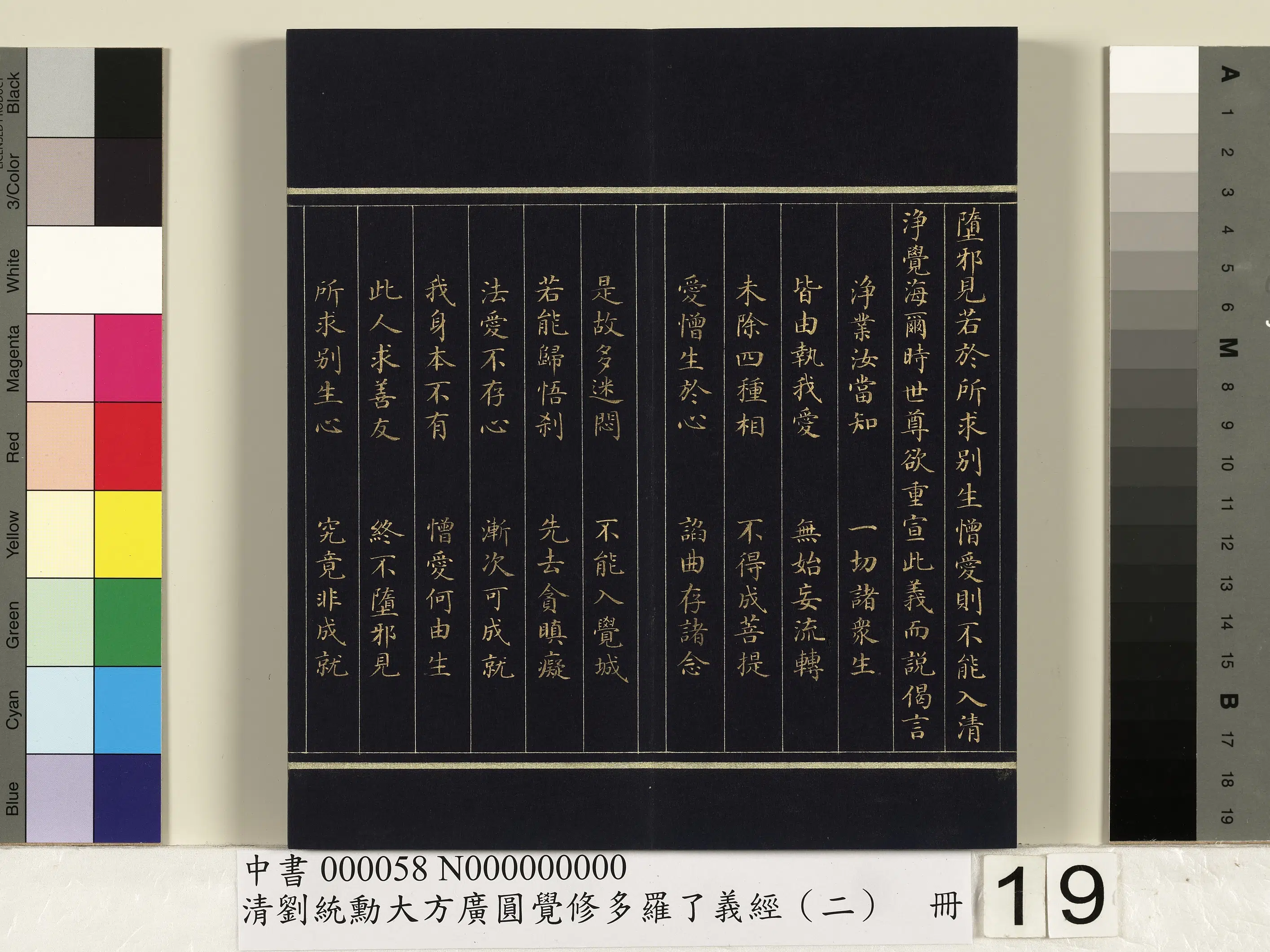 清代【刘统勋】《大方广圆觉修多罗了义经（二）册》 第11张