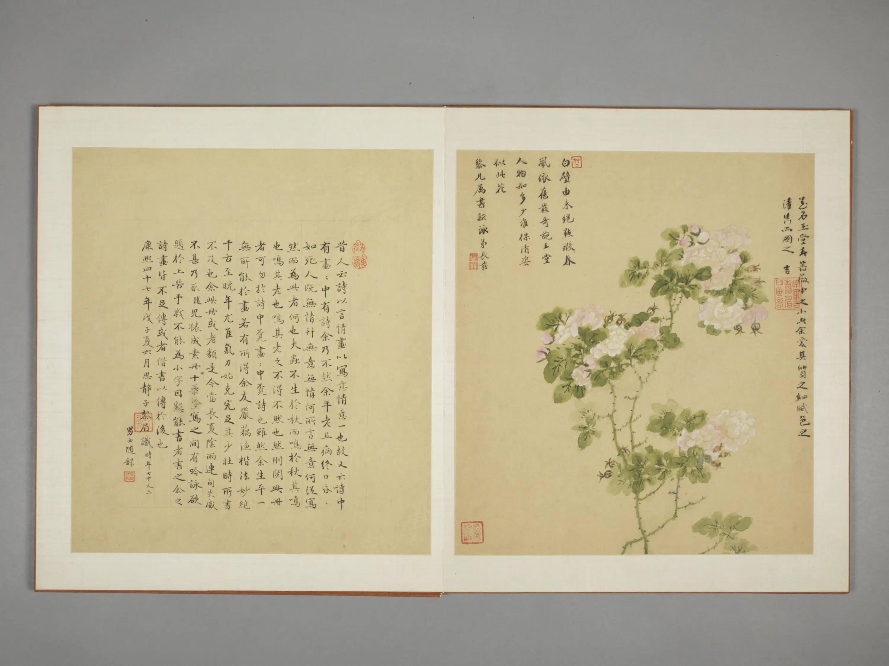 清代【邹显吉】《花卉图册》 第1张