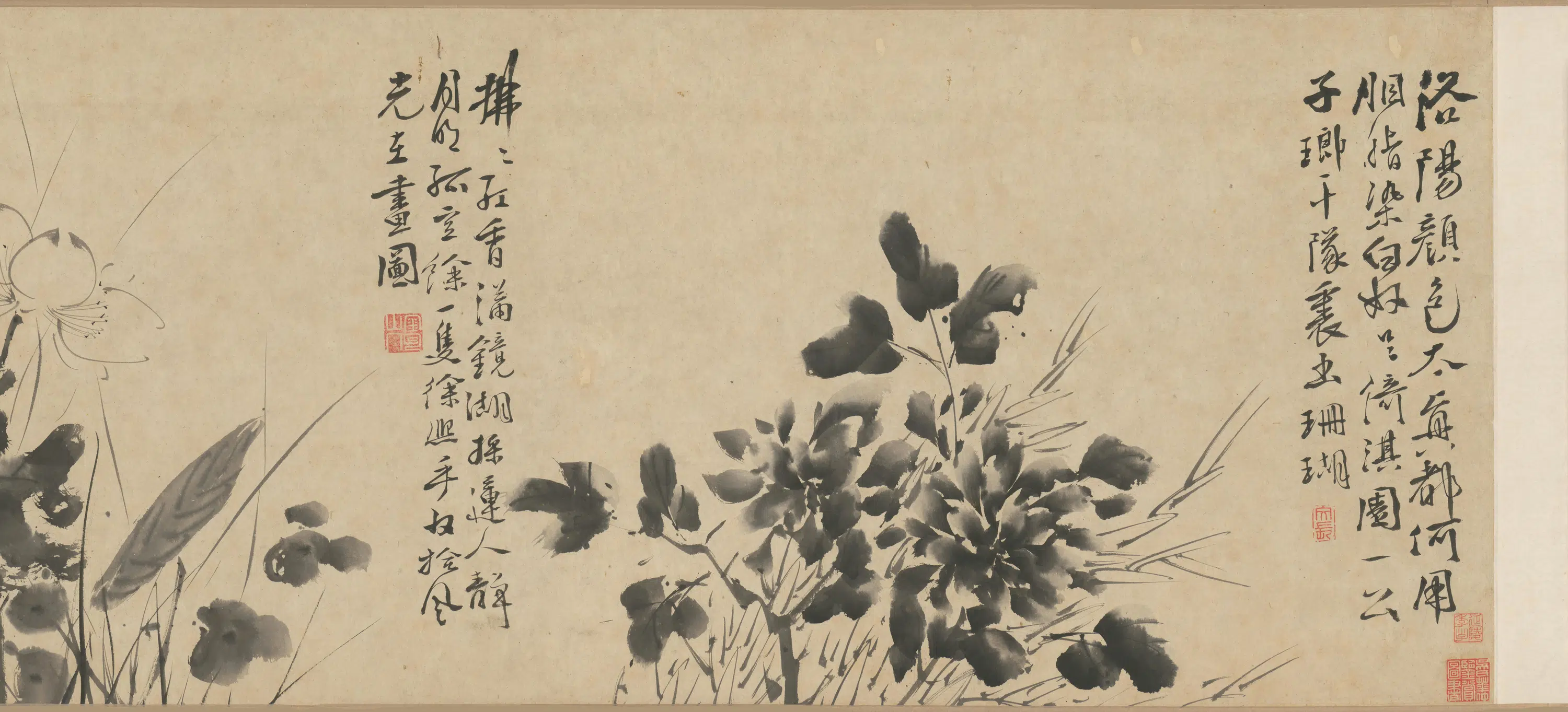 明朝【徐渭】《墨花九段图卷》 第6张