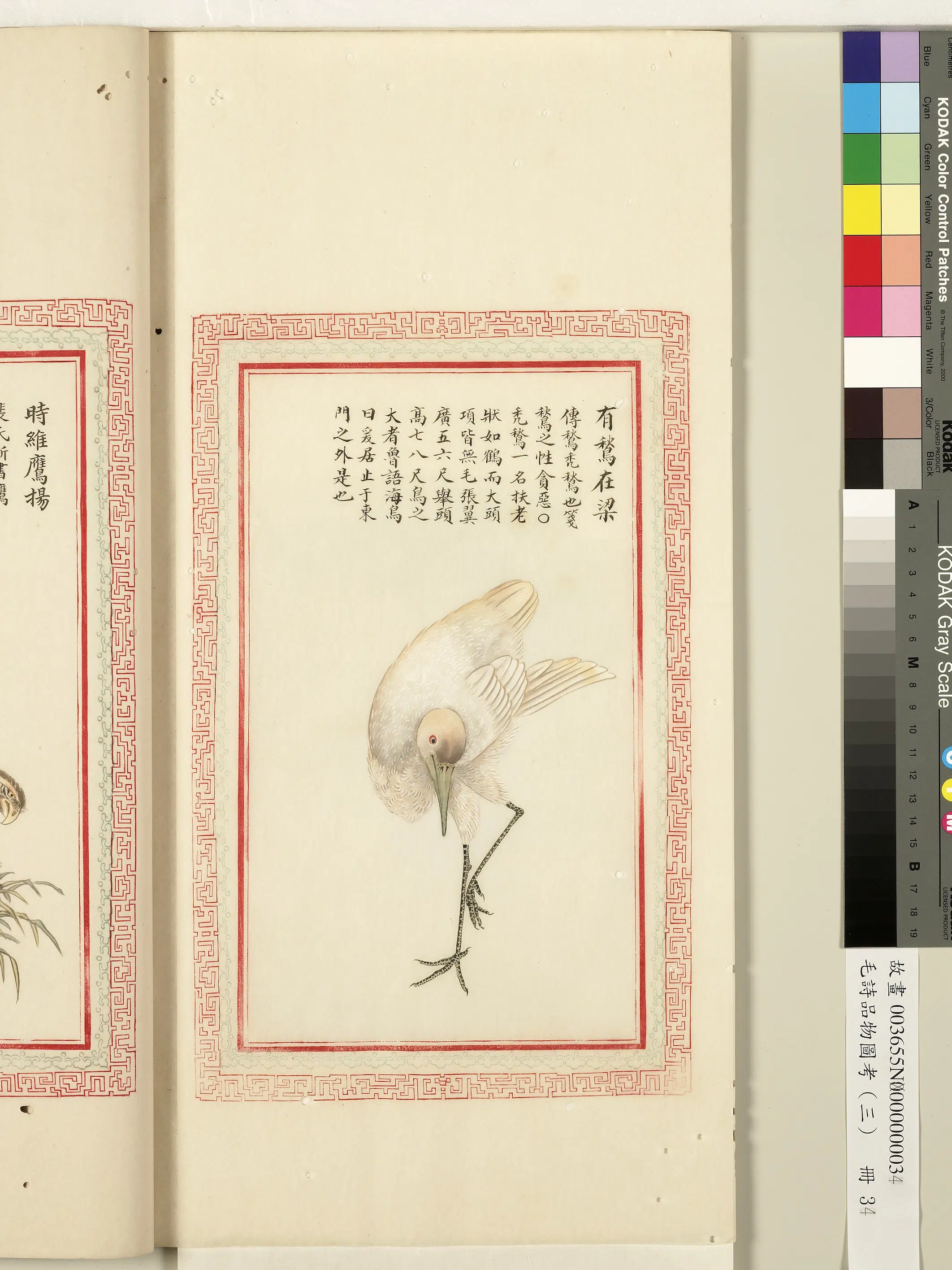 清朝【佚名】《毛诗品物图考（三）册-有鹙在梁-1》