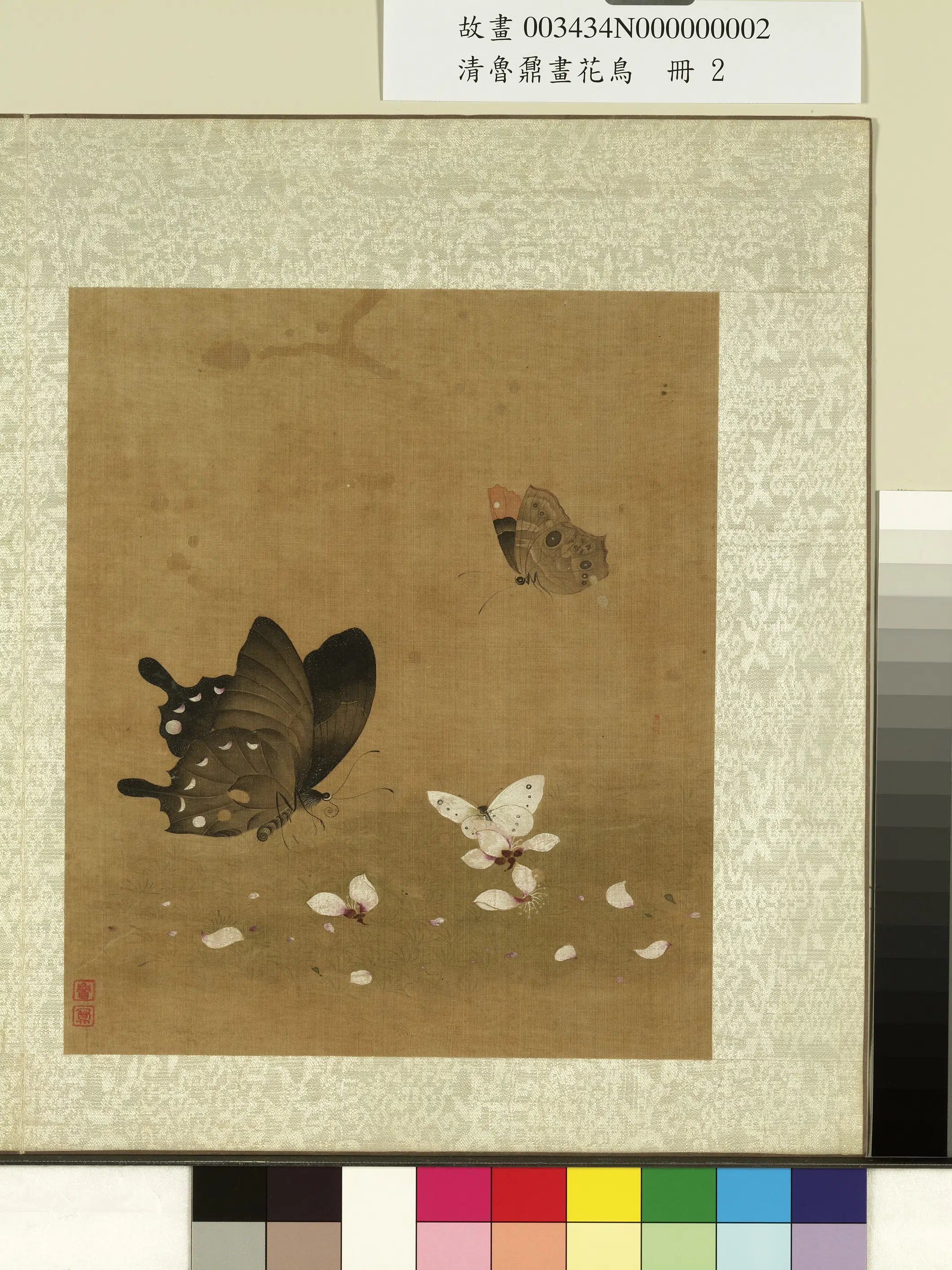 清代【鲁鼐】《画花鸟册》 第5张