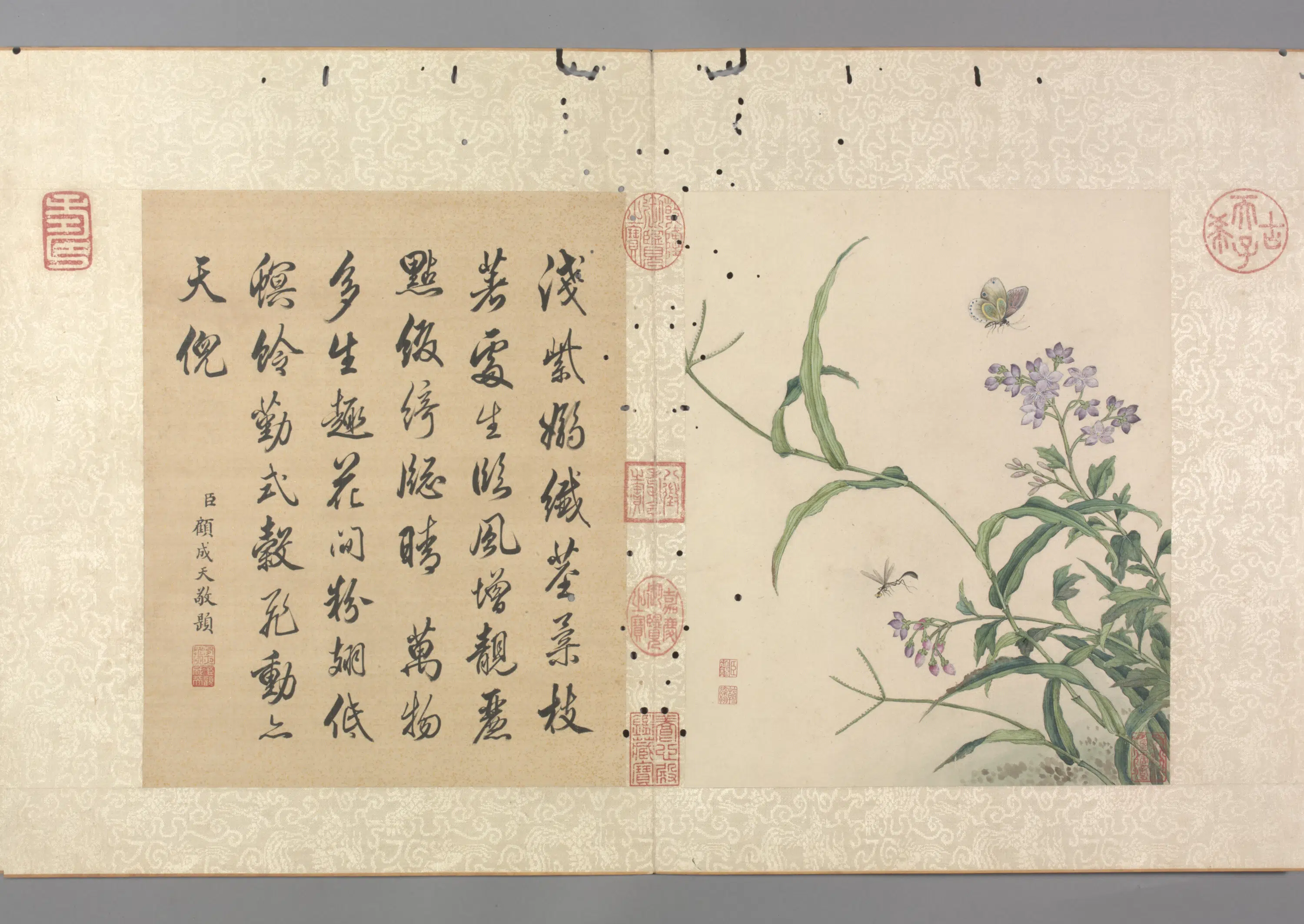 清代【蒋廷锡】《花卉图册》