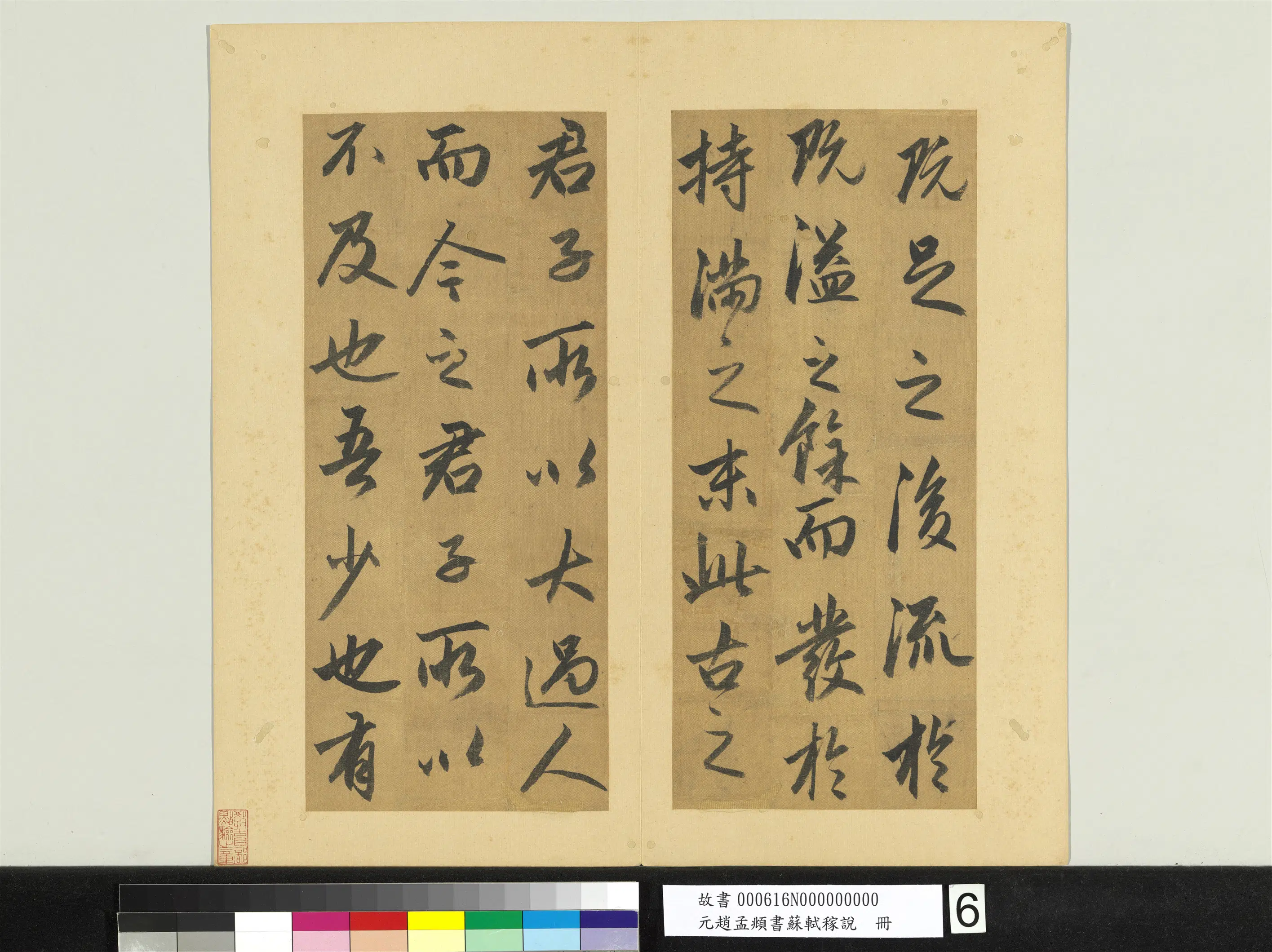 元朝【赵孟頫】《书苏轼稼说册》 第7张
