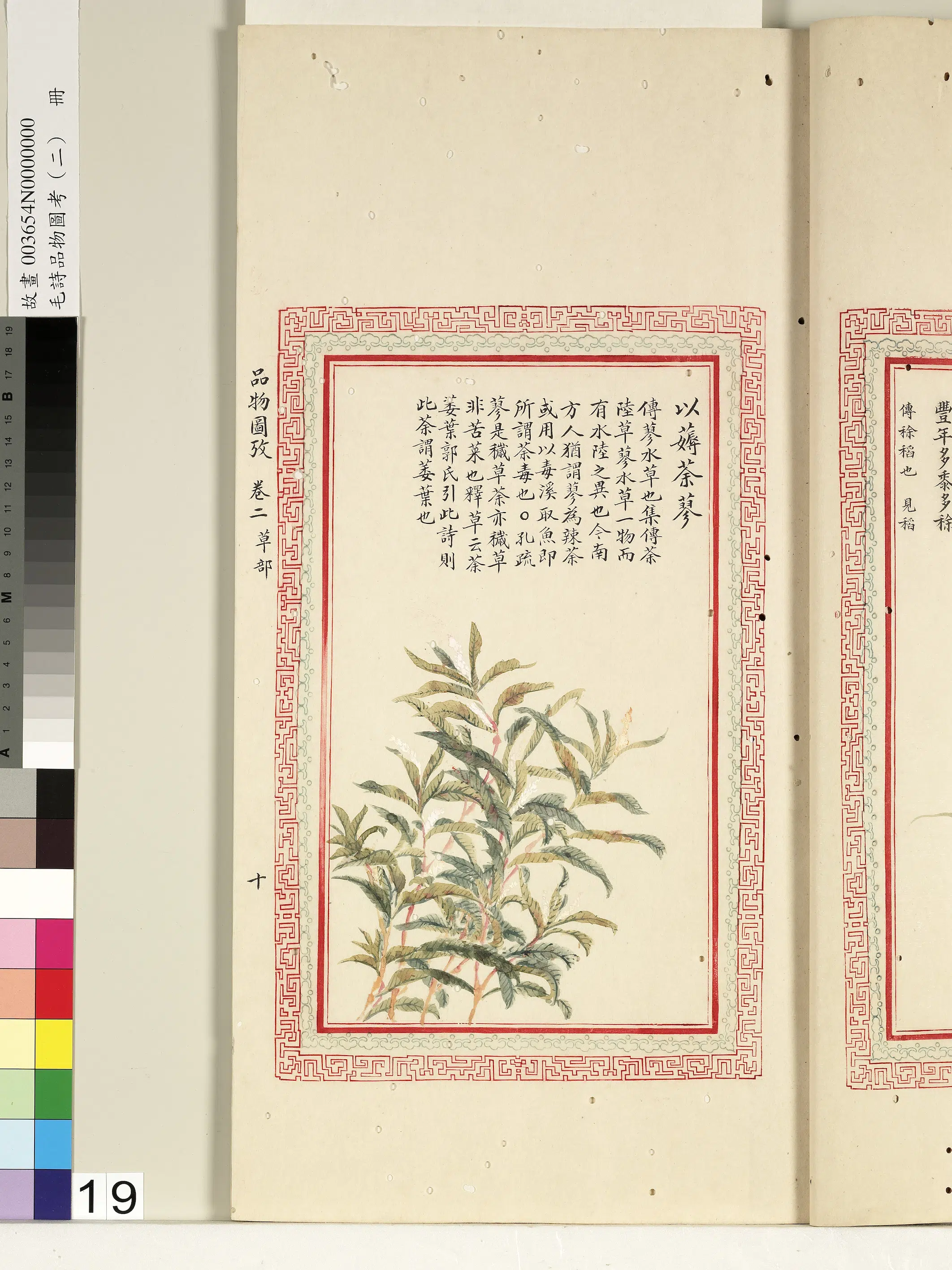 清代《毛诗品物图考(二)册-1》 第4张 清代《毛诗品物图考(二)册-1》 第4张