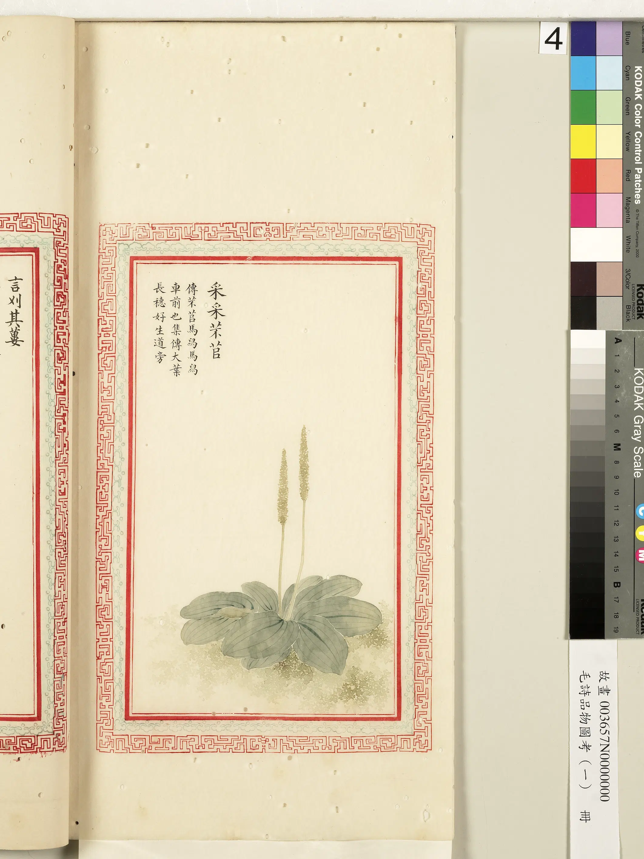 清朝《毛诗品物图考(一)册-2》 第54张 清朝《毛诗品物图考(一)册-2》 第54张
