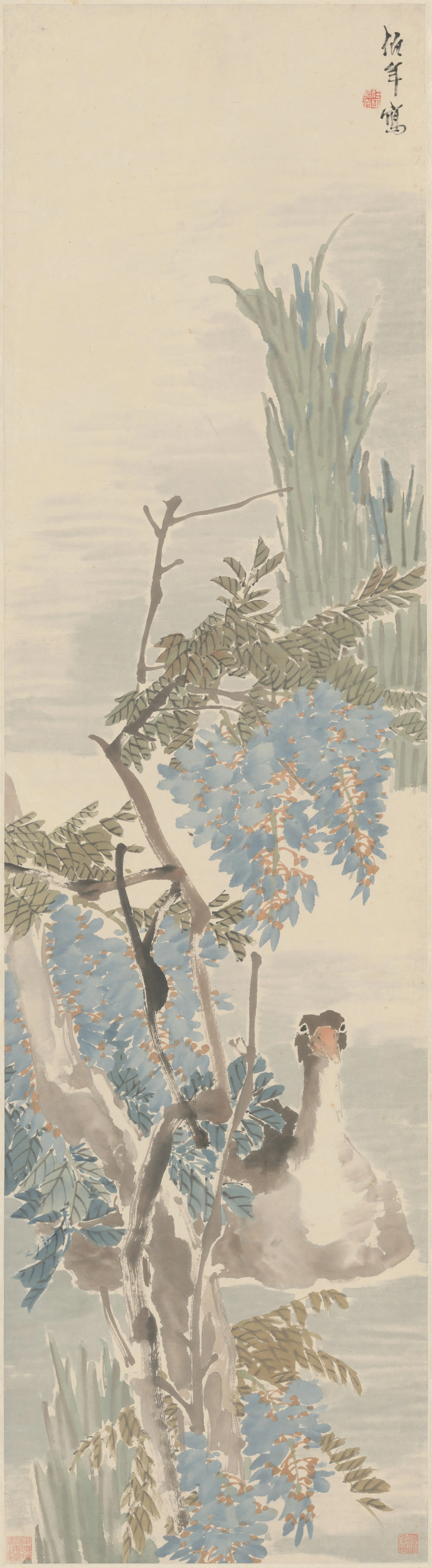 清代【任颐】《紫藤鹅图轴》
