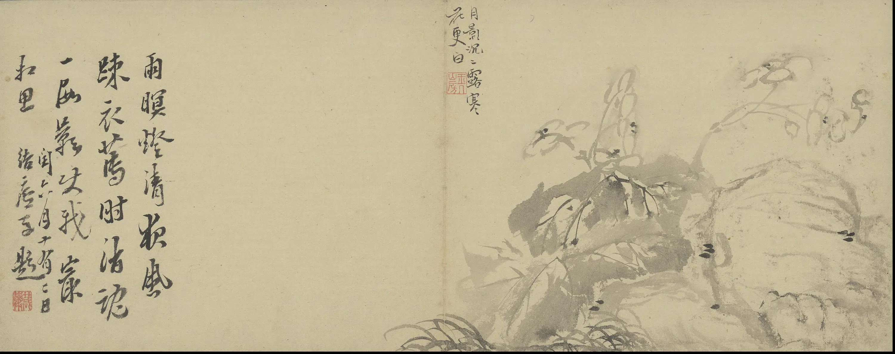 清代【陈撰】《花卉图册》 第11张