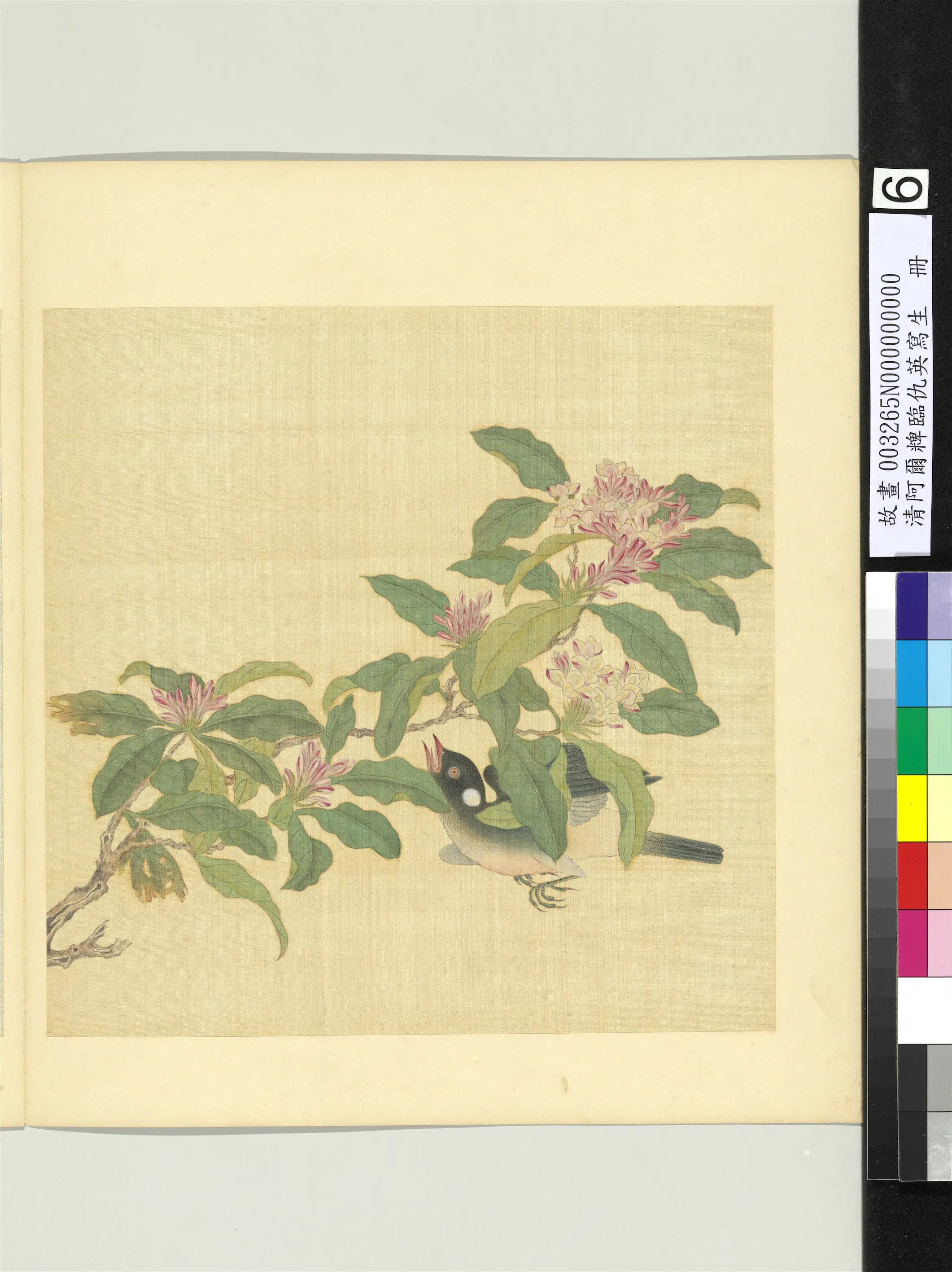清代【舒穆禄阿尔粺】《临仇英写生册-花鸟》