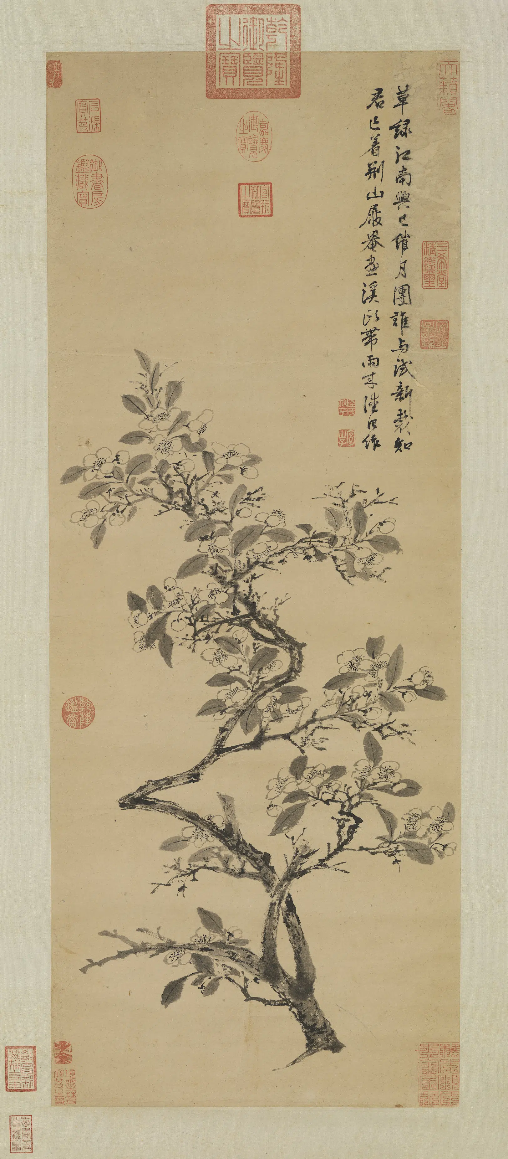 明代【陆治】《梨花写生图轴》
