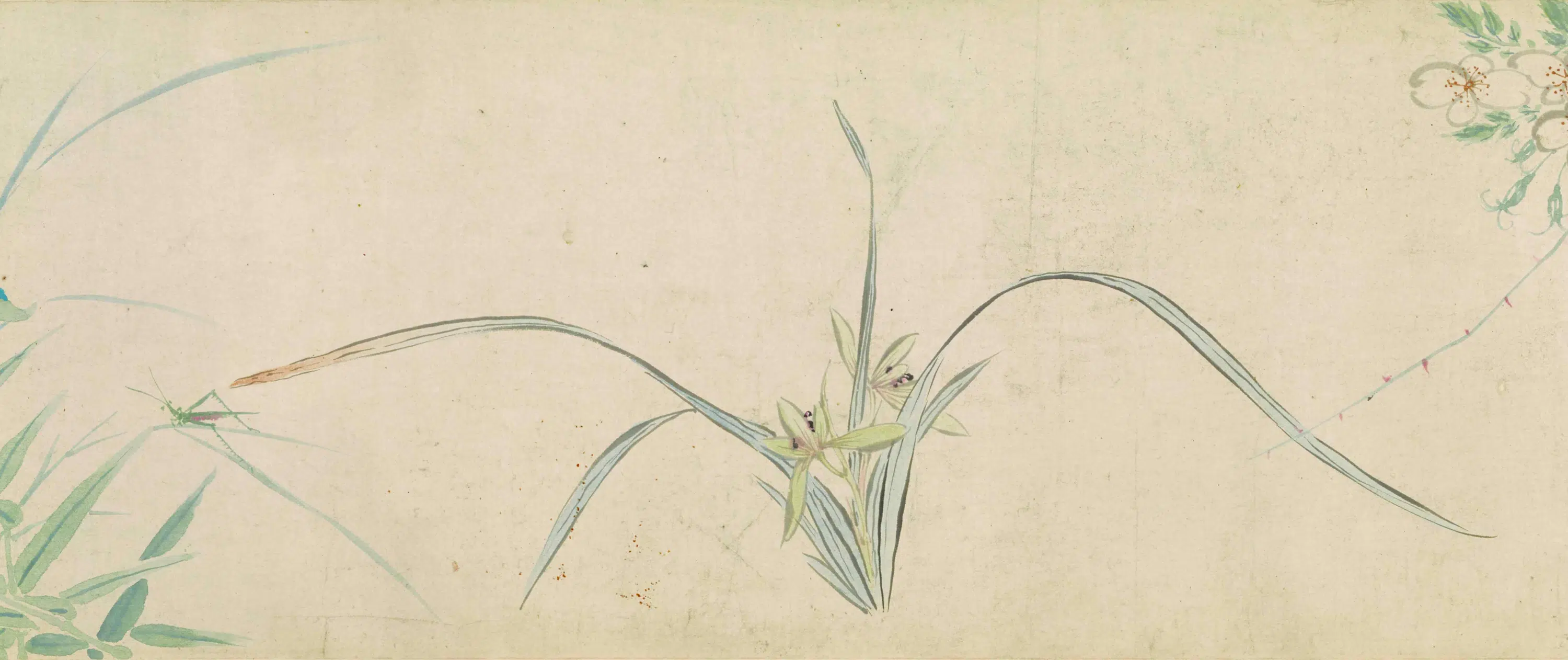 明朝【马守真】《花卉草虫图卷》 第2张
