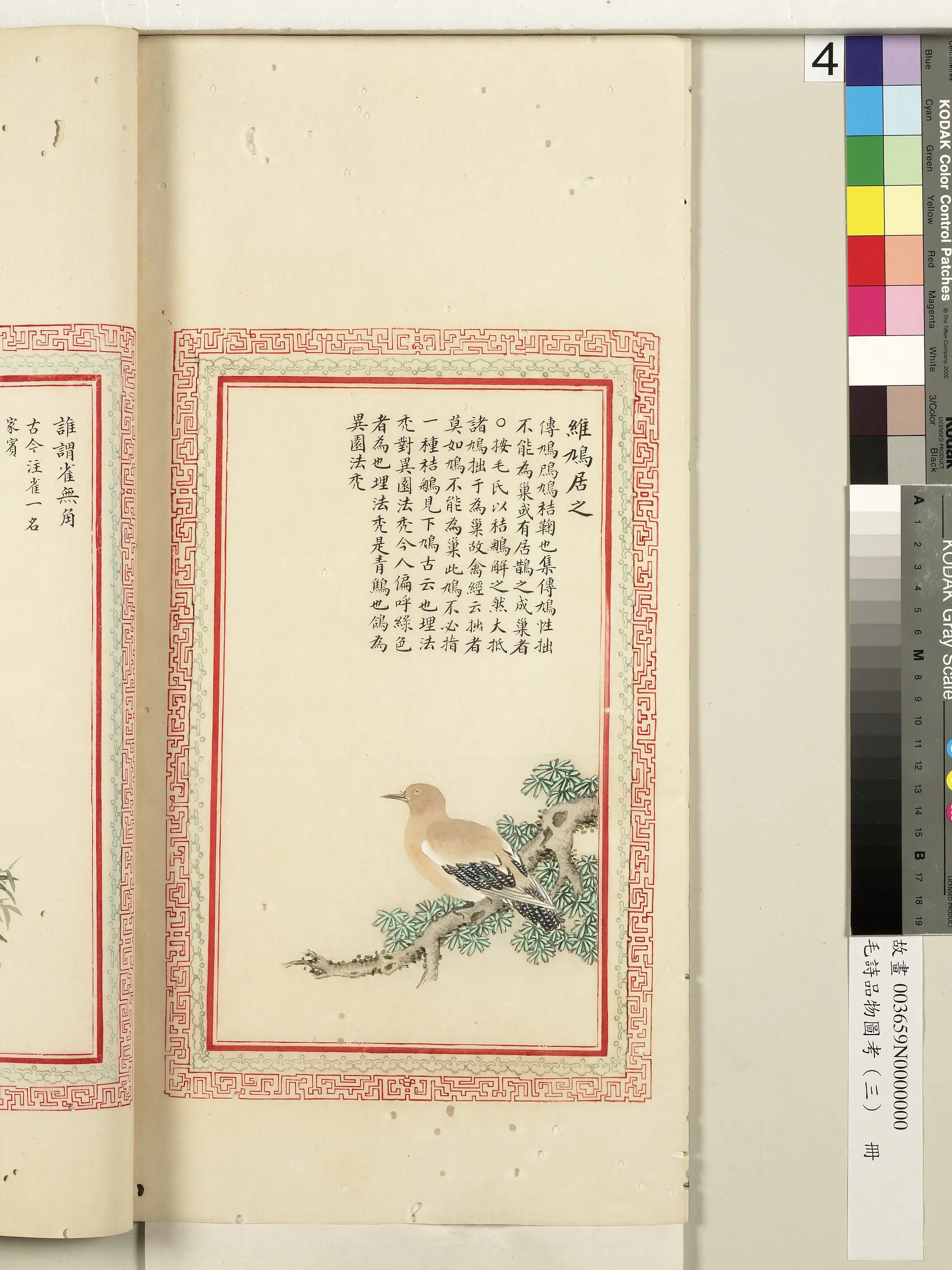 清代《毛诗品物图考(三)册-2》 第33张 清代《毛诗品物图考(三)册-2》 第33张
