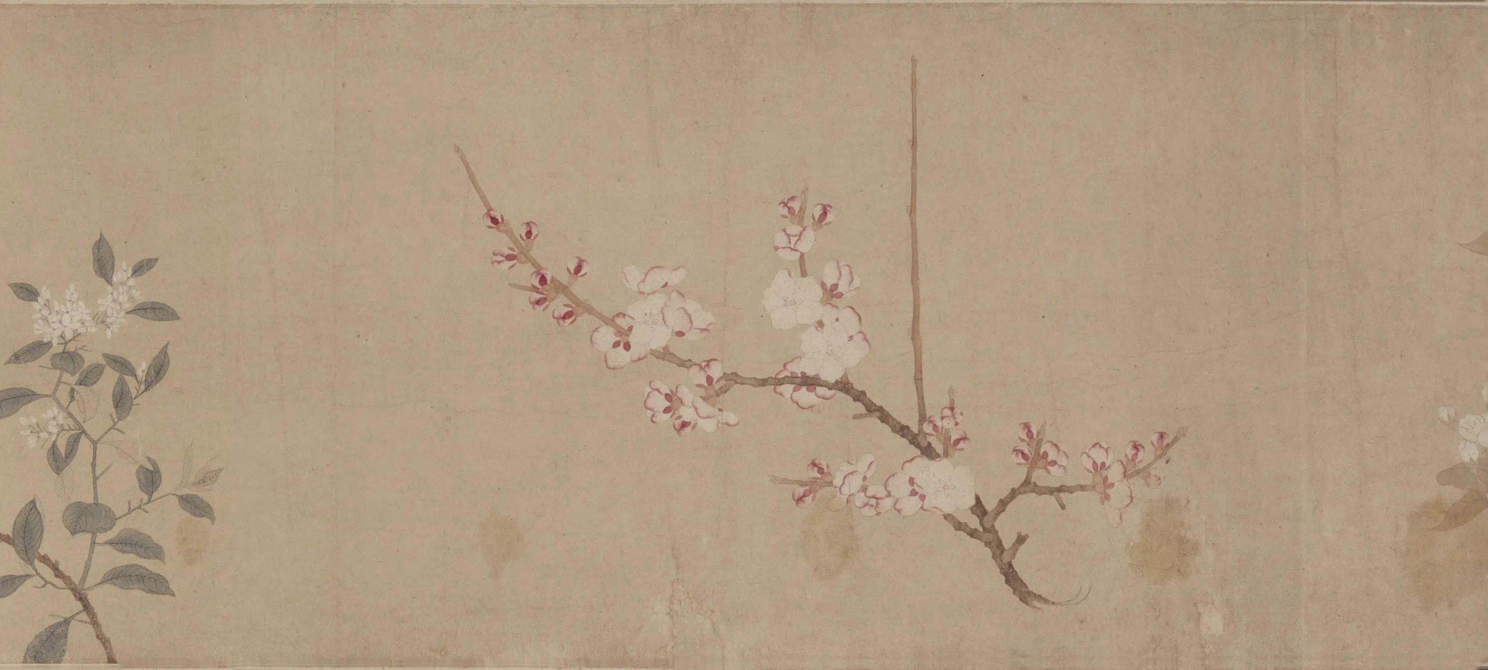元朝【钱选】《八花图卷》 第4张