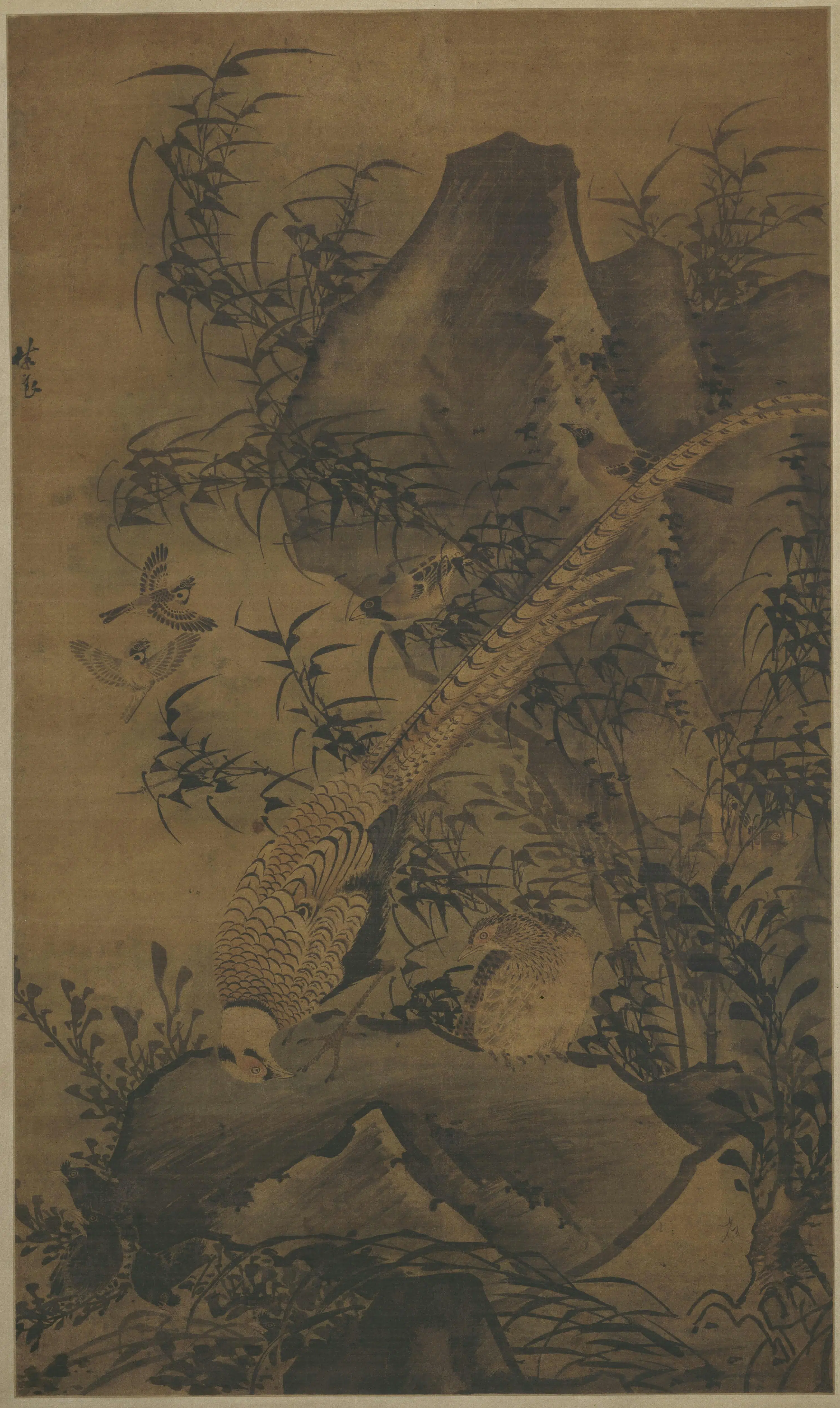 明朝【林良】《锦鸡图轴》