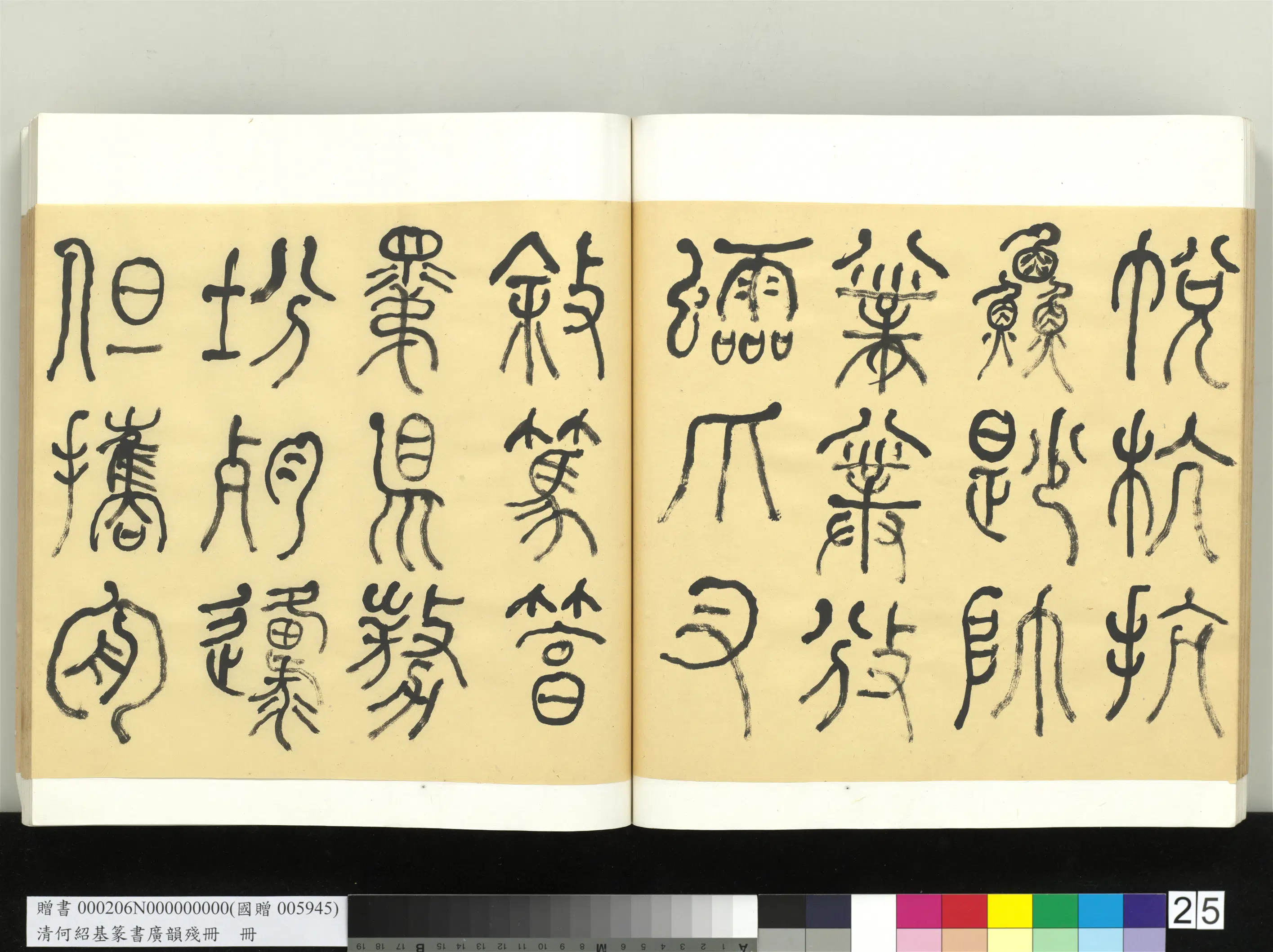 清代【何绍基】《篆书广韵册》 第25张